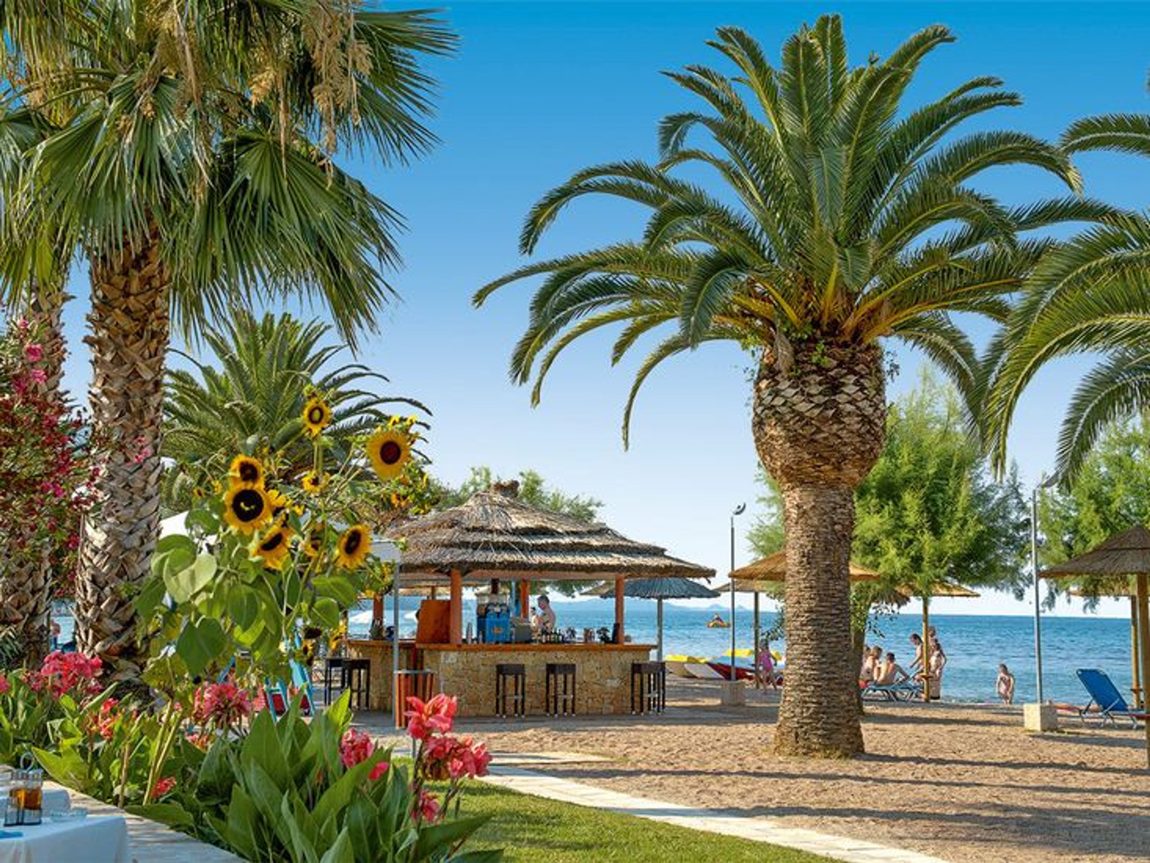 3 Stars Village foto 2