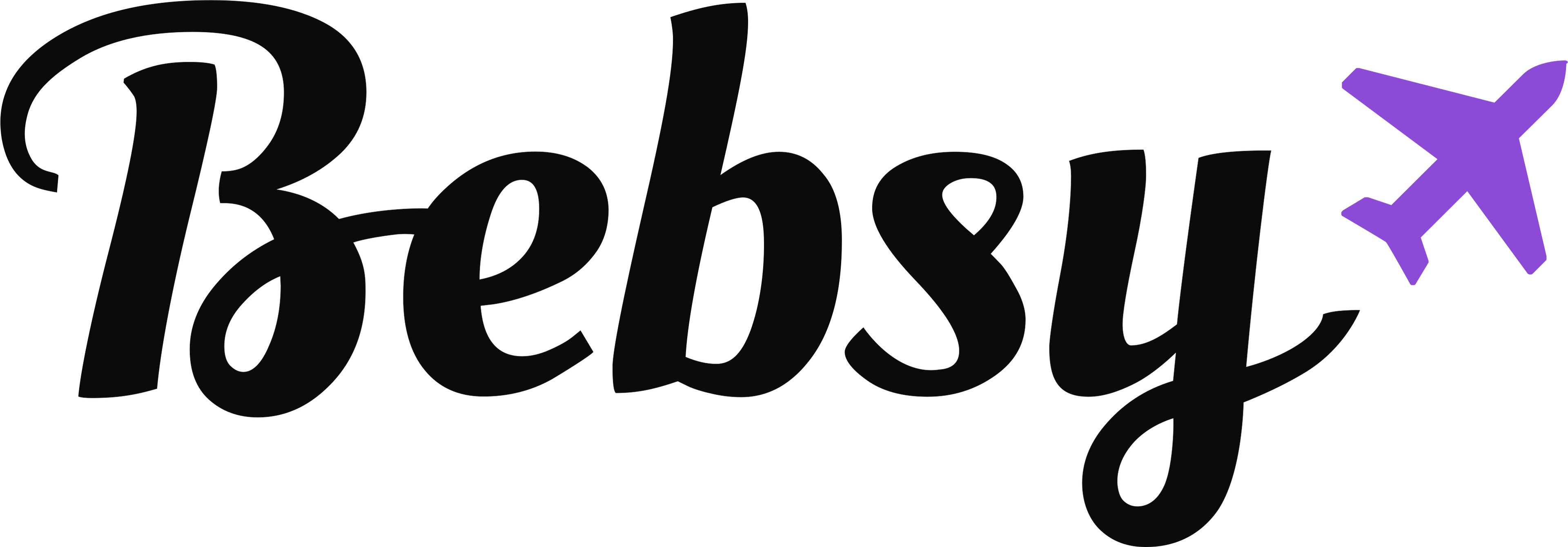 Bebsy.nl logo