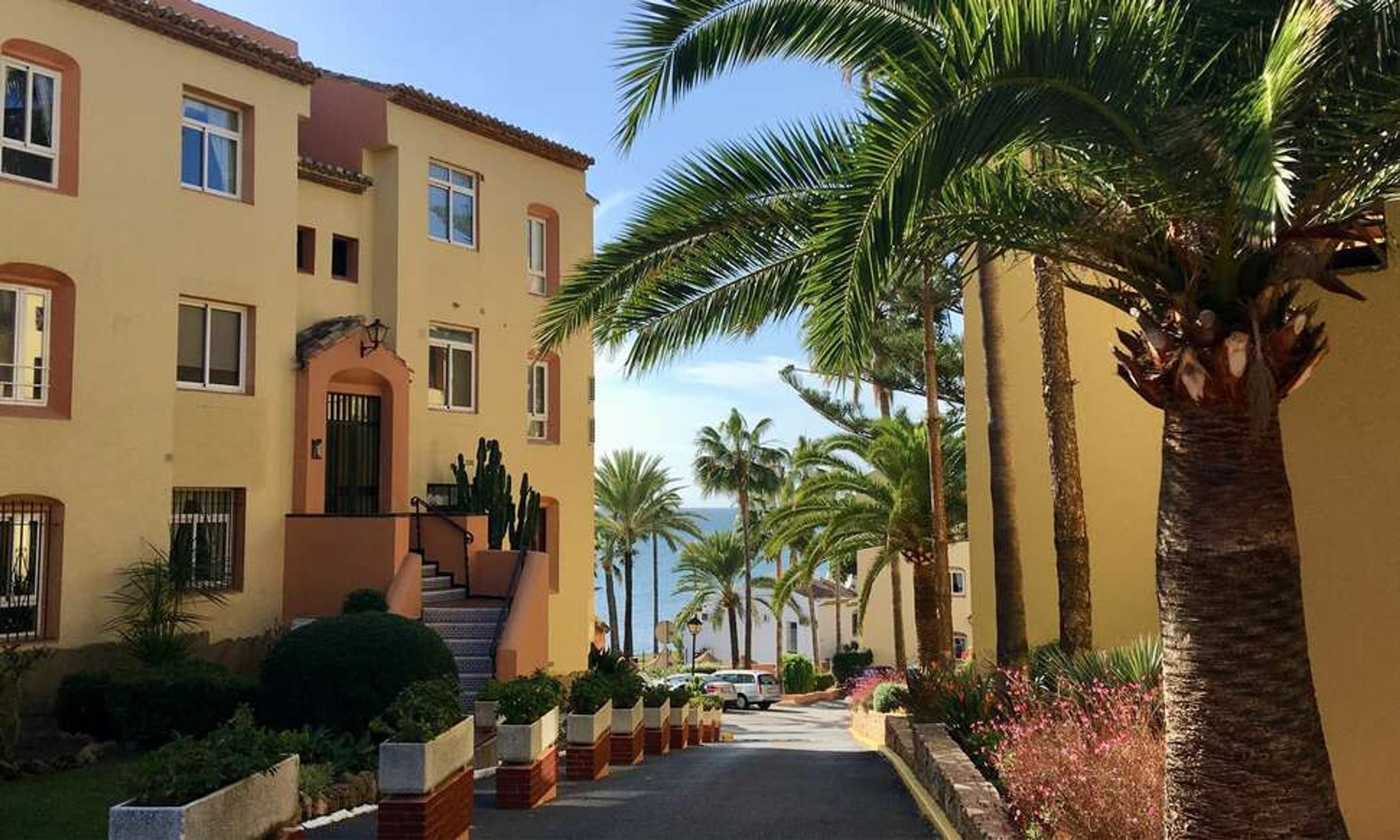 Macdonald Dona Lola foto 3