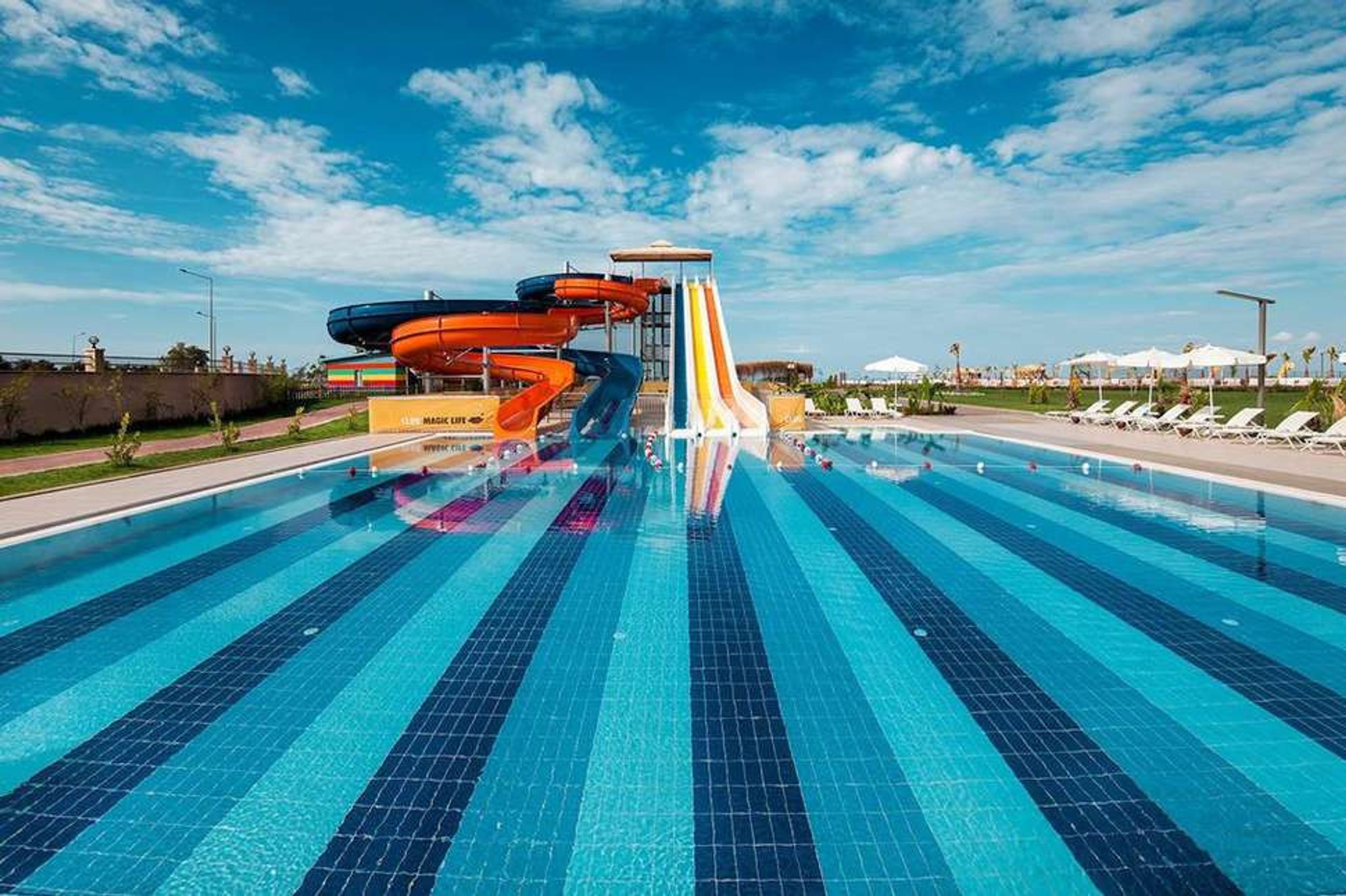 Magic Life Jacaranda foto 1