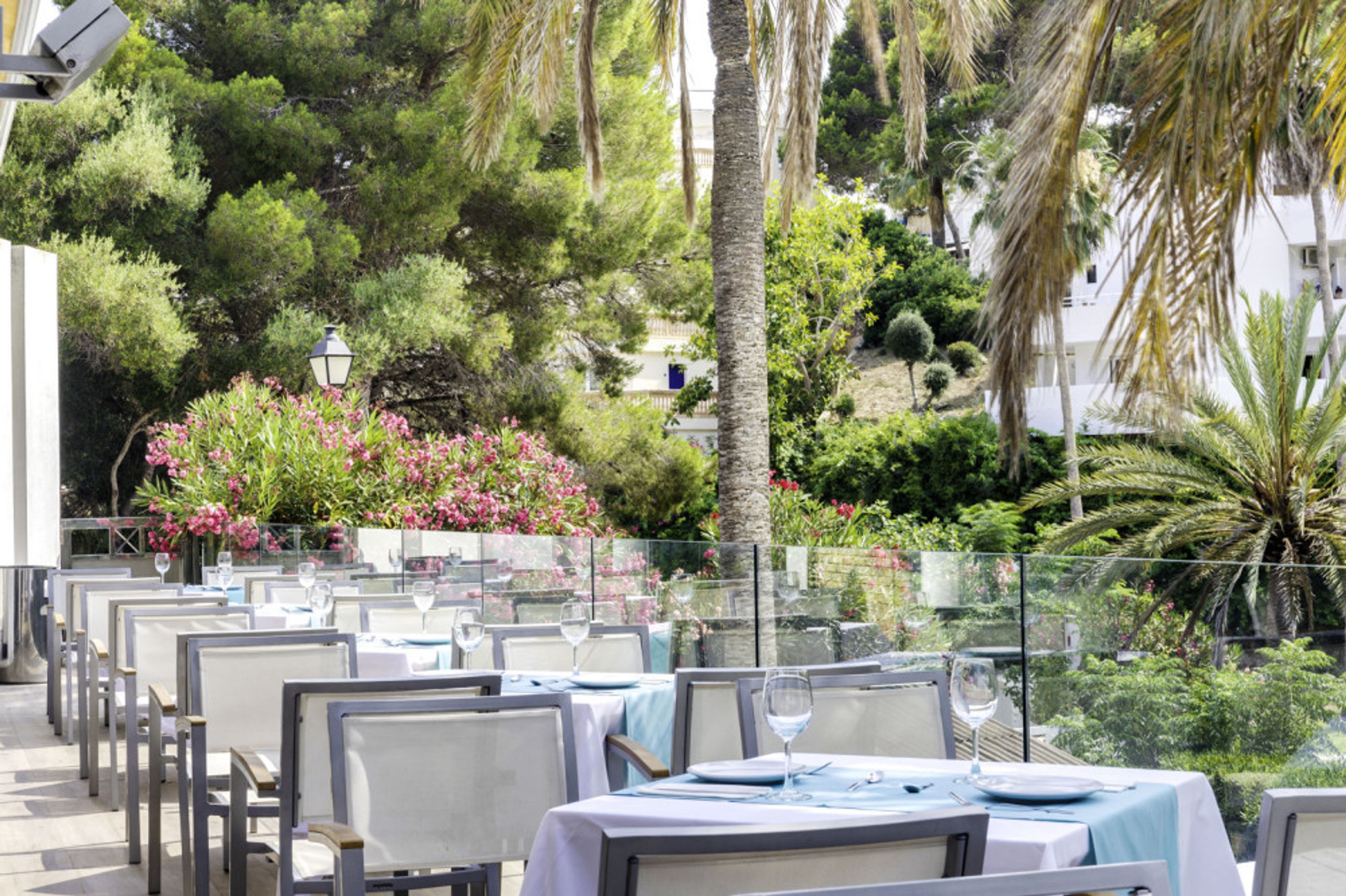 Marsenses Natura Olea foto 3