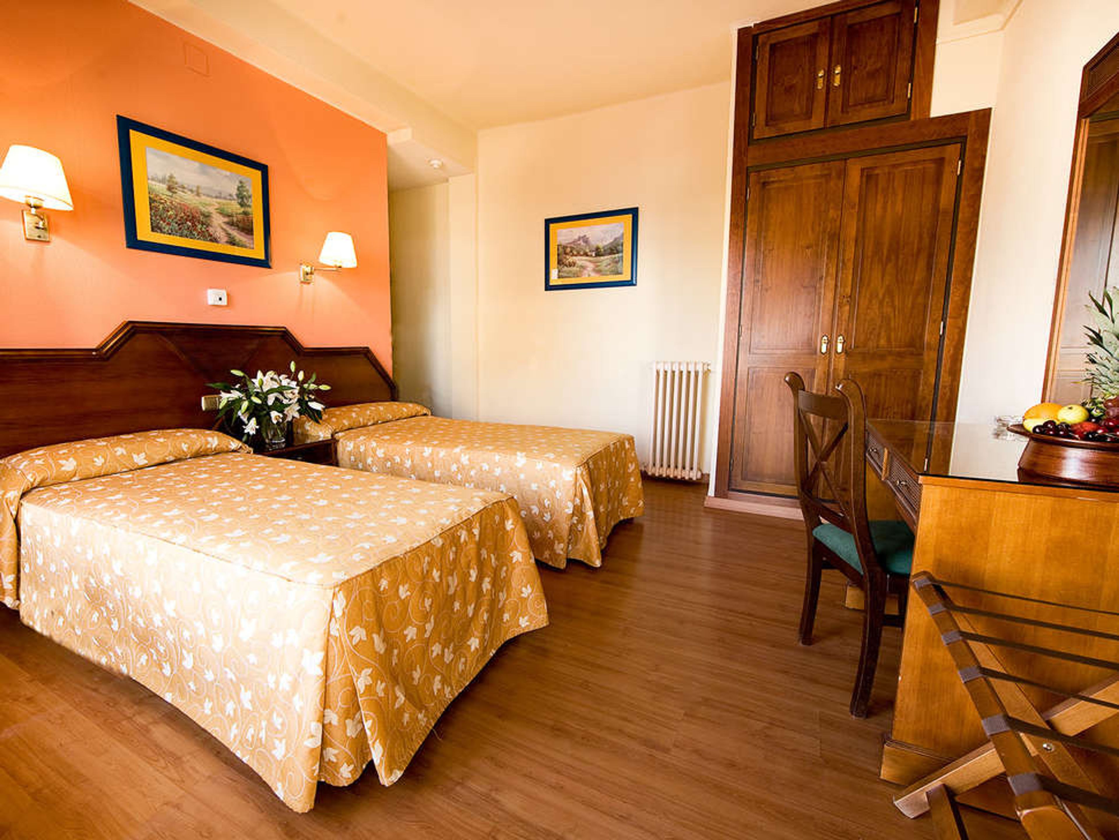 Monarque Cendrillon foto 2