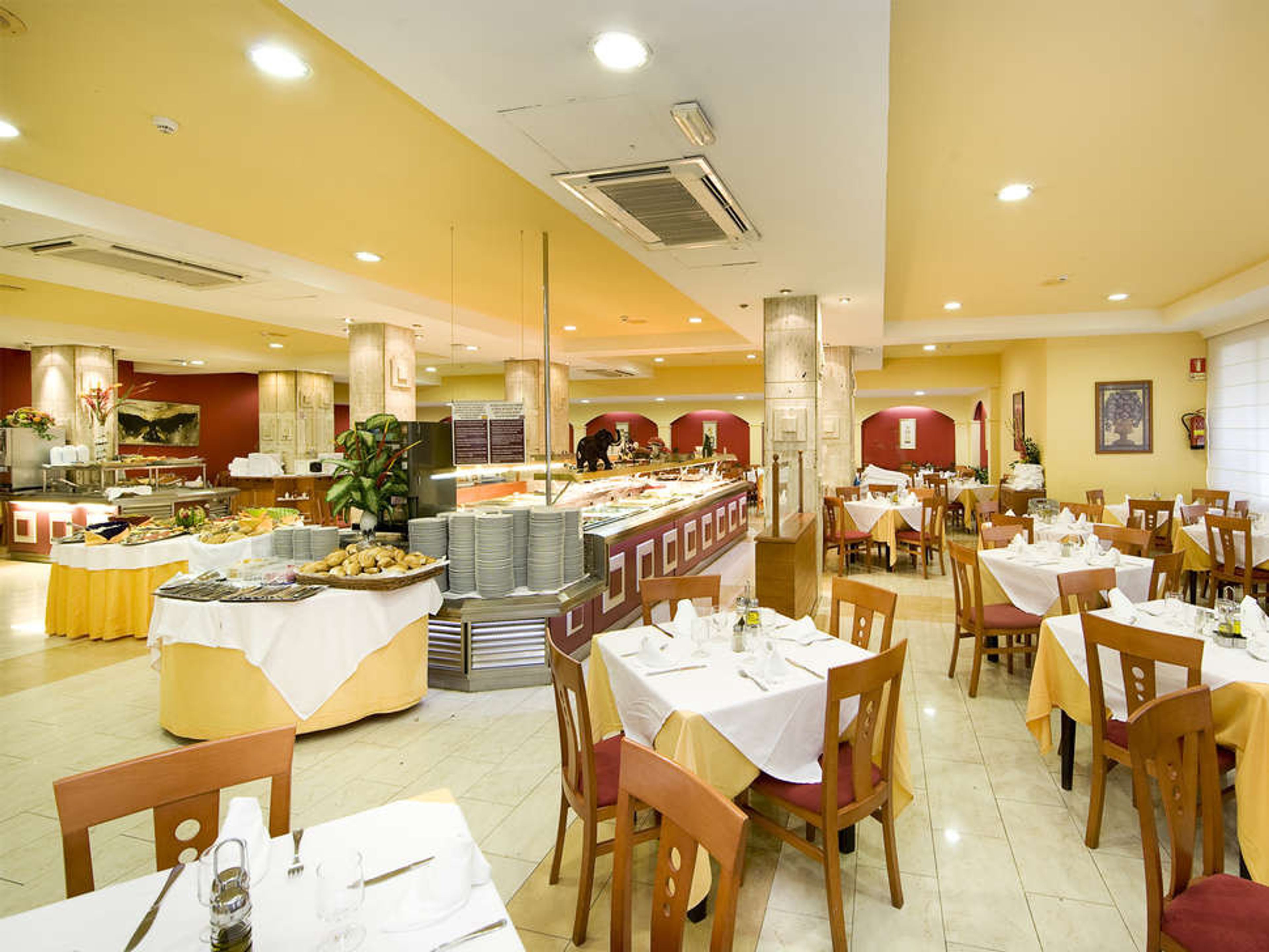 Monarque Cendrillon foto 3