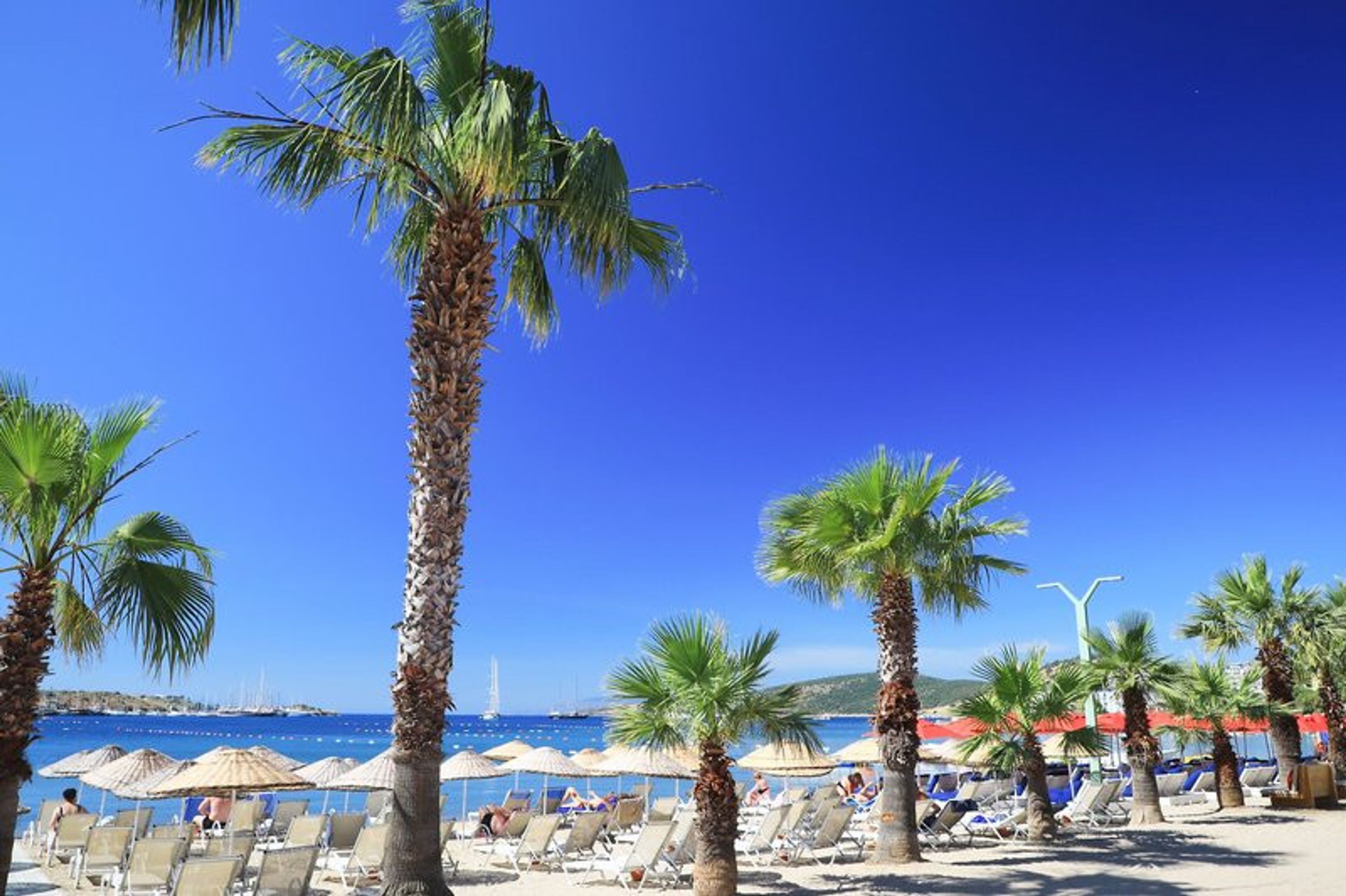 Otium Senses Very Chic