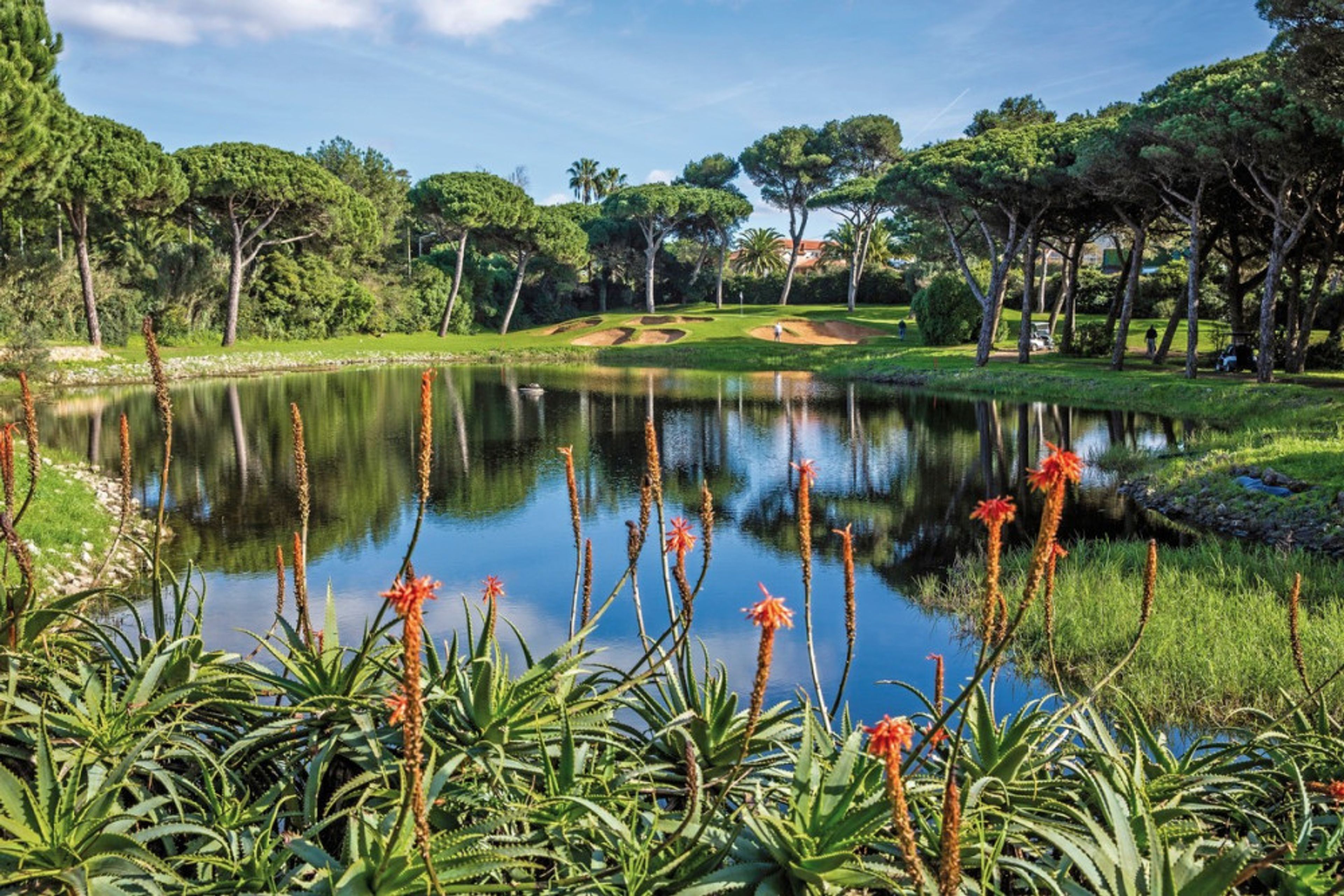 Onyria Quinta Da Marinha foto 3