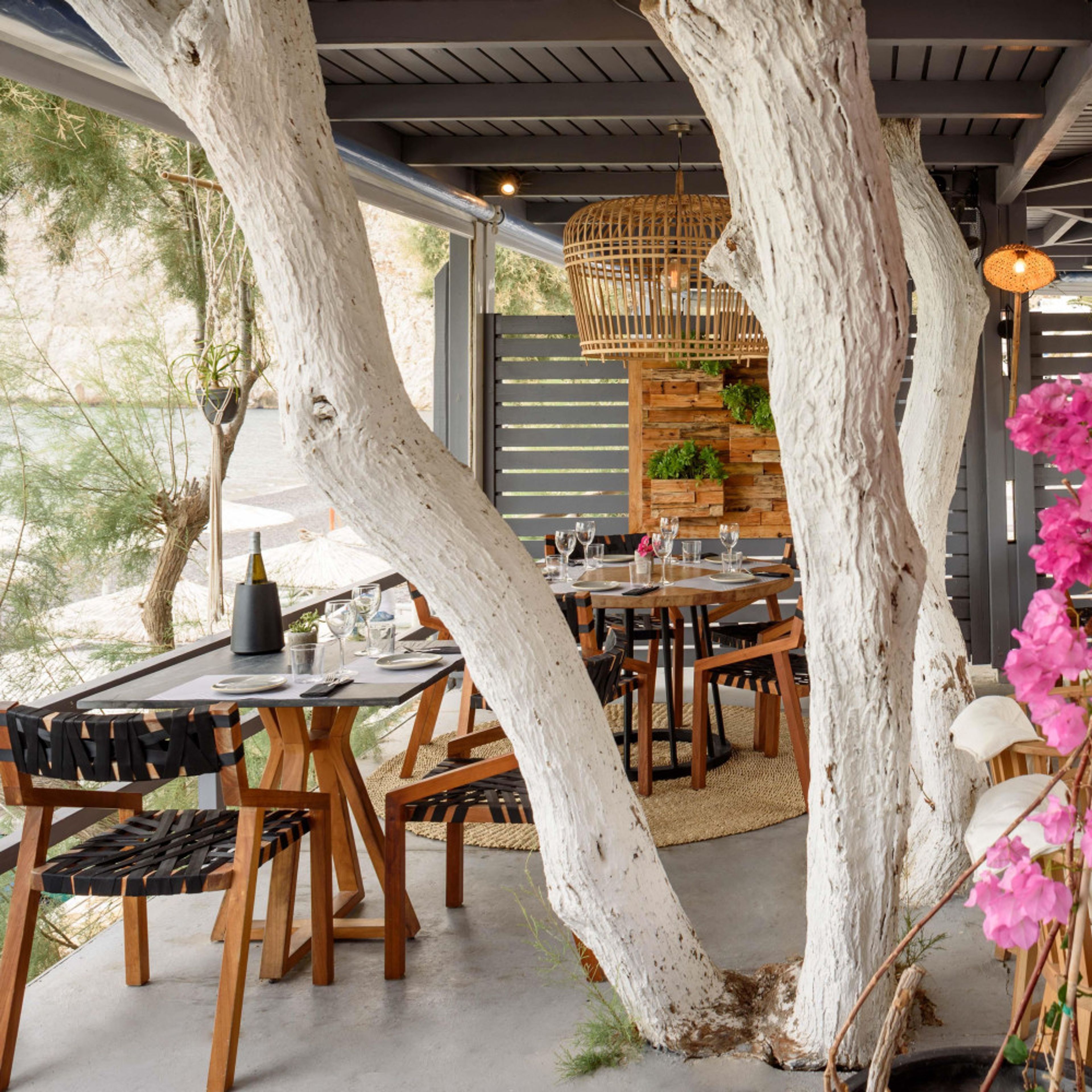 Afroditi Venus Beach and Spa foto 1