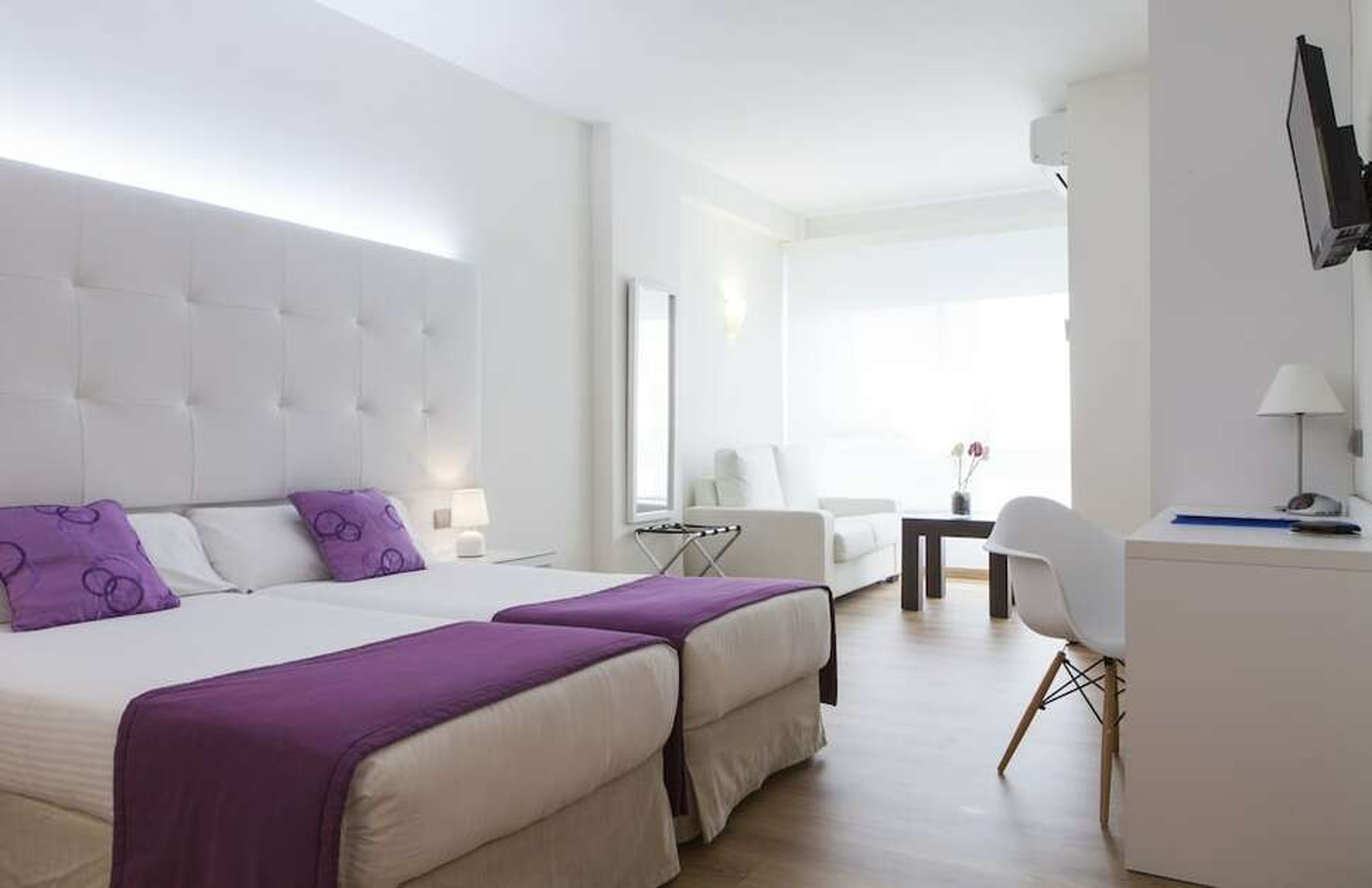 Albahia Alicante foto 1