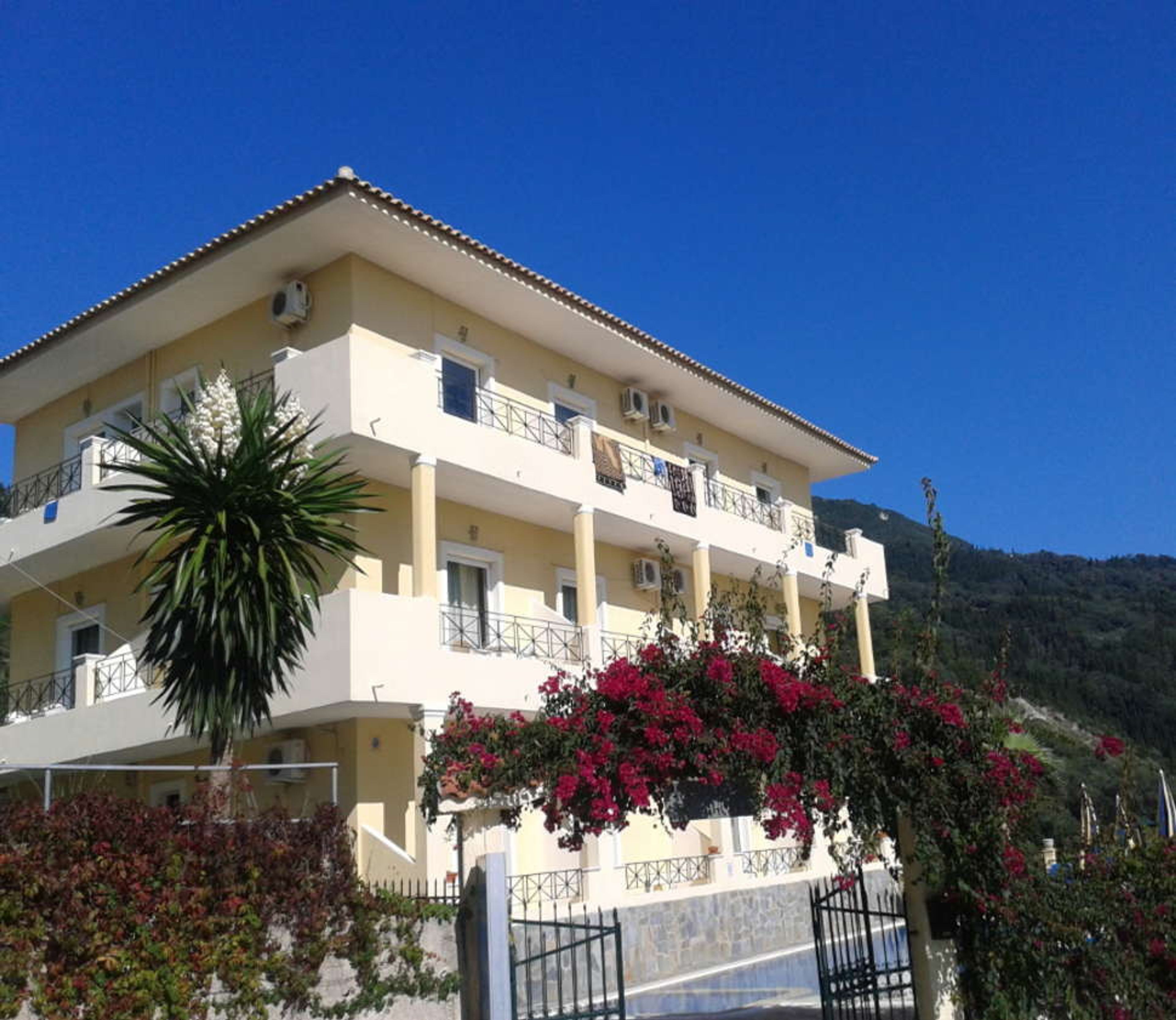 Alonakia foto 1