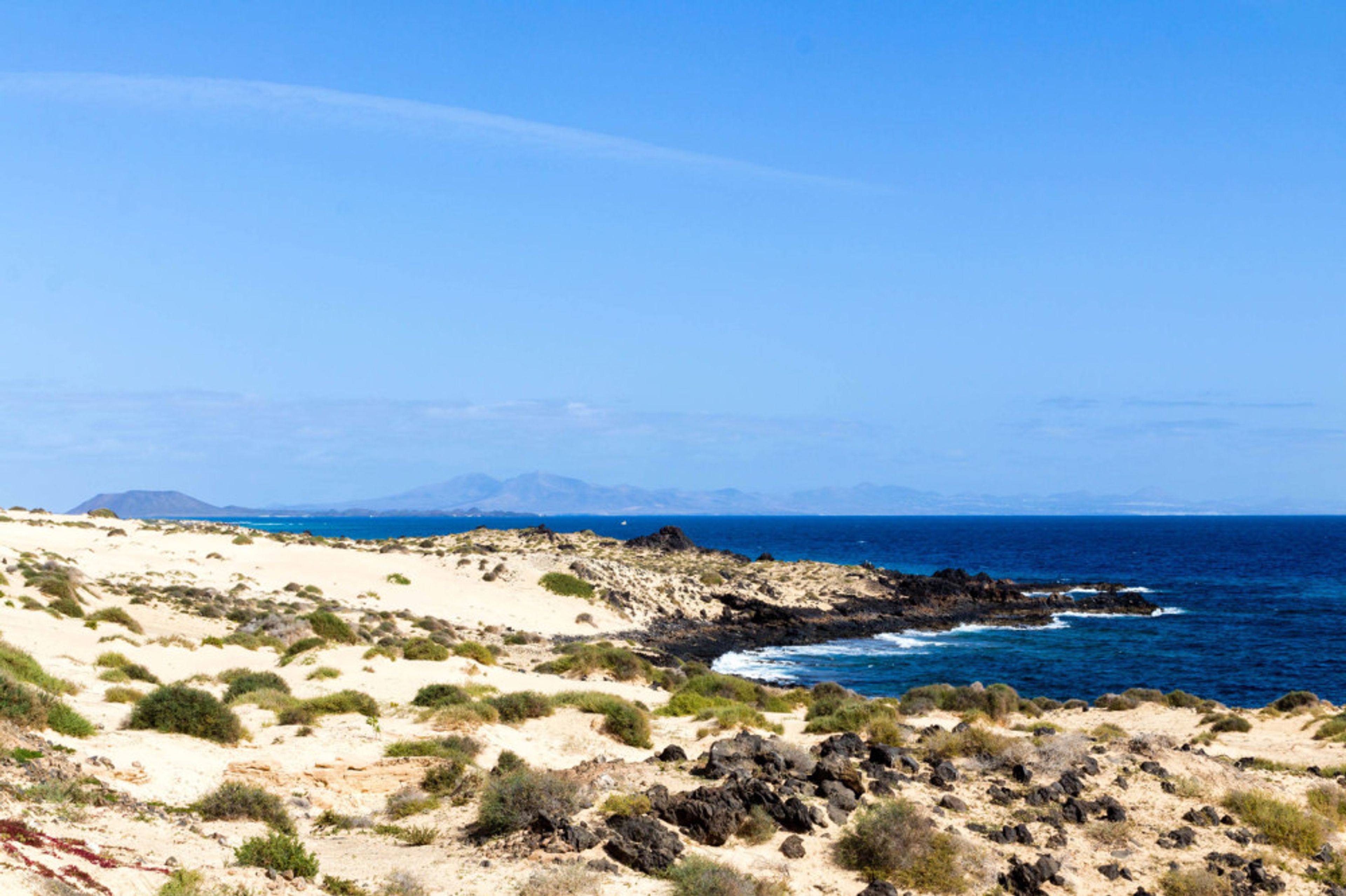 Aloe Corralejo foto 1