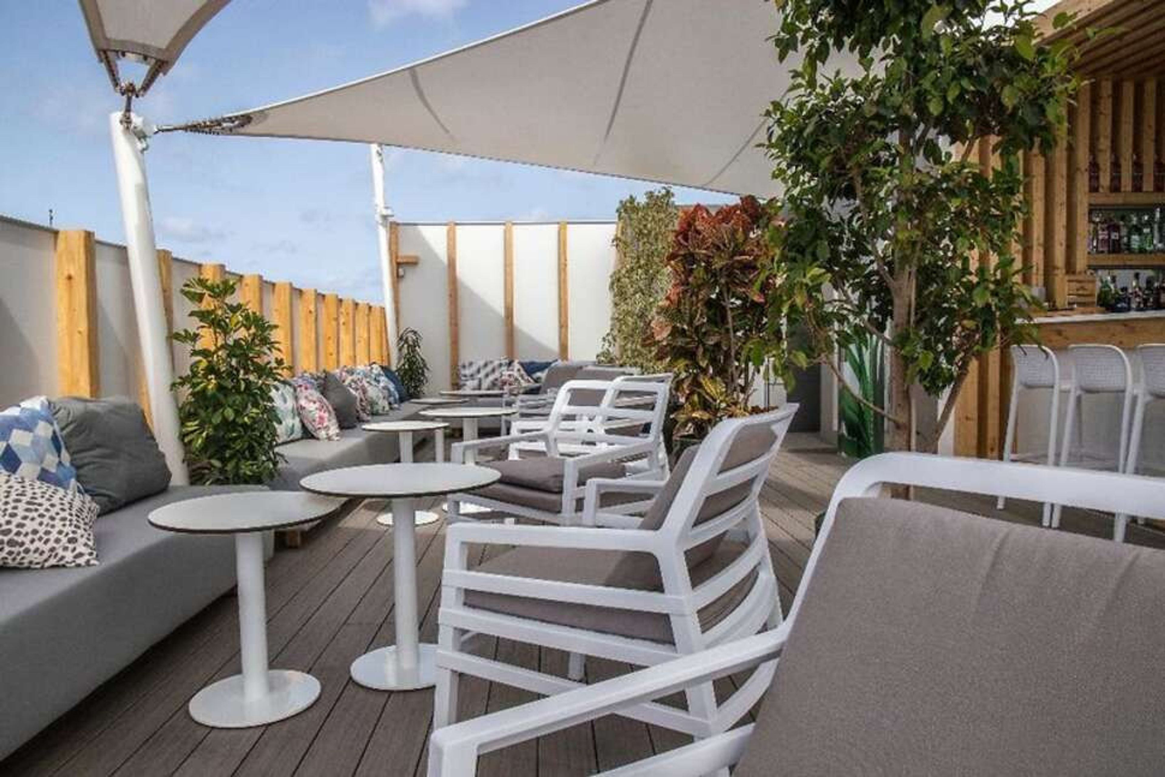 Aloe Canteras foto 3