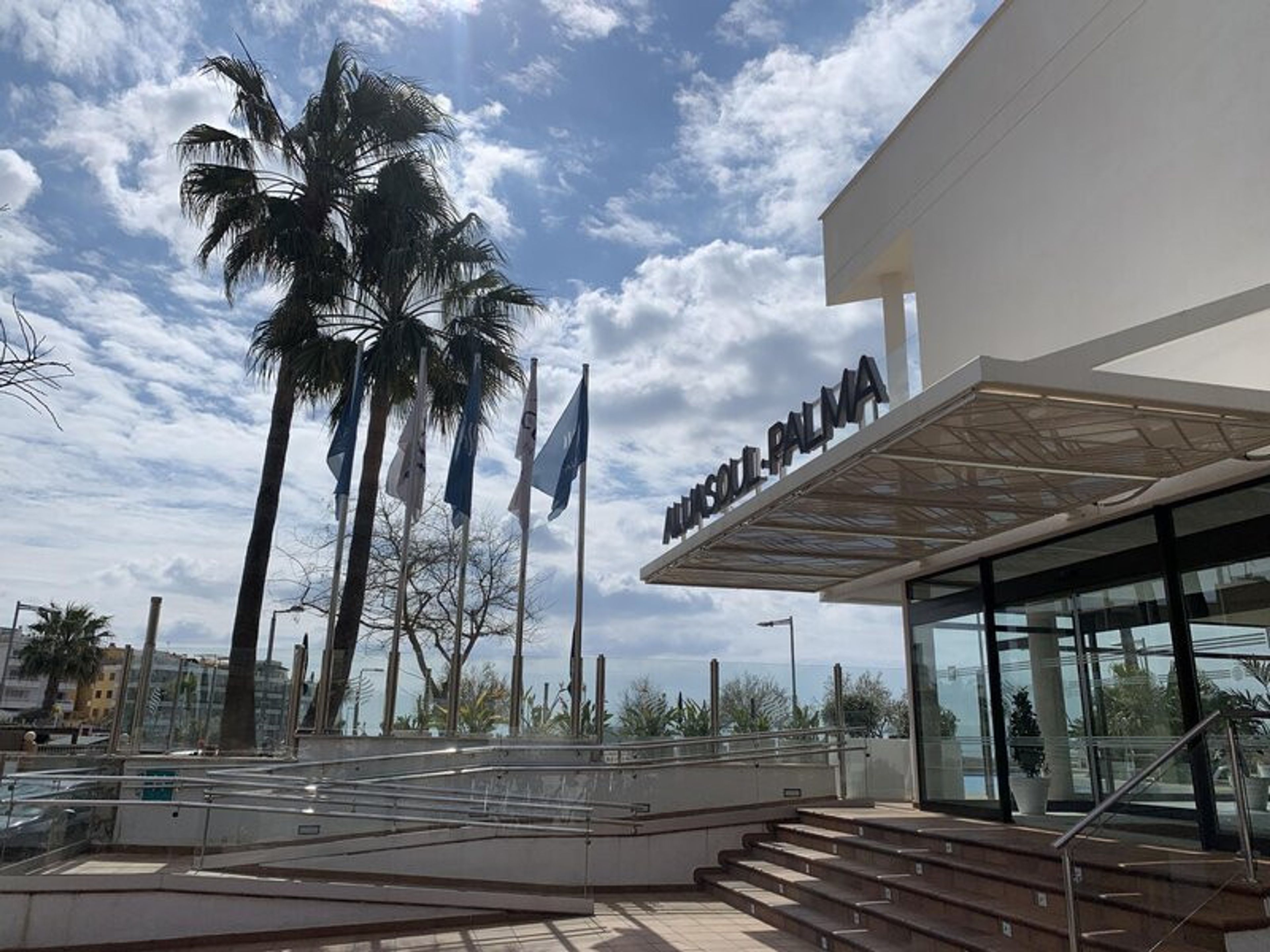 AluaSoul Palma foto 4