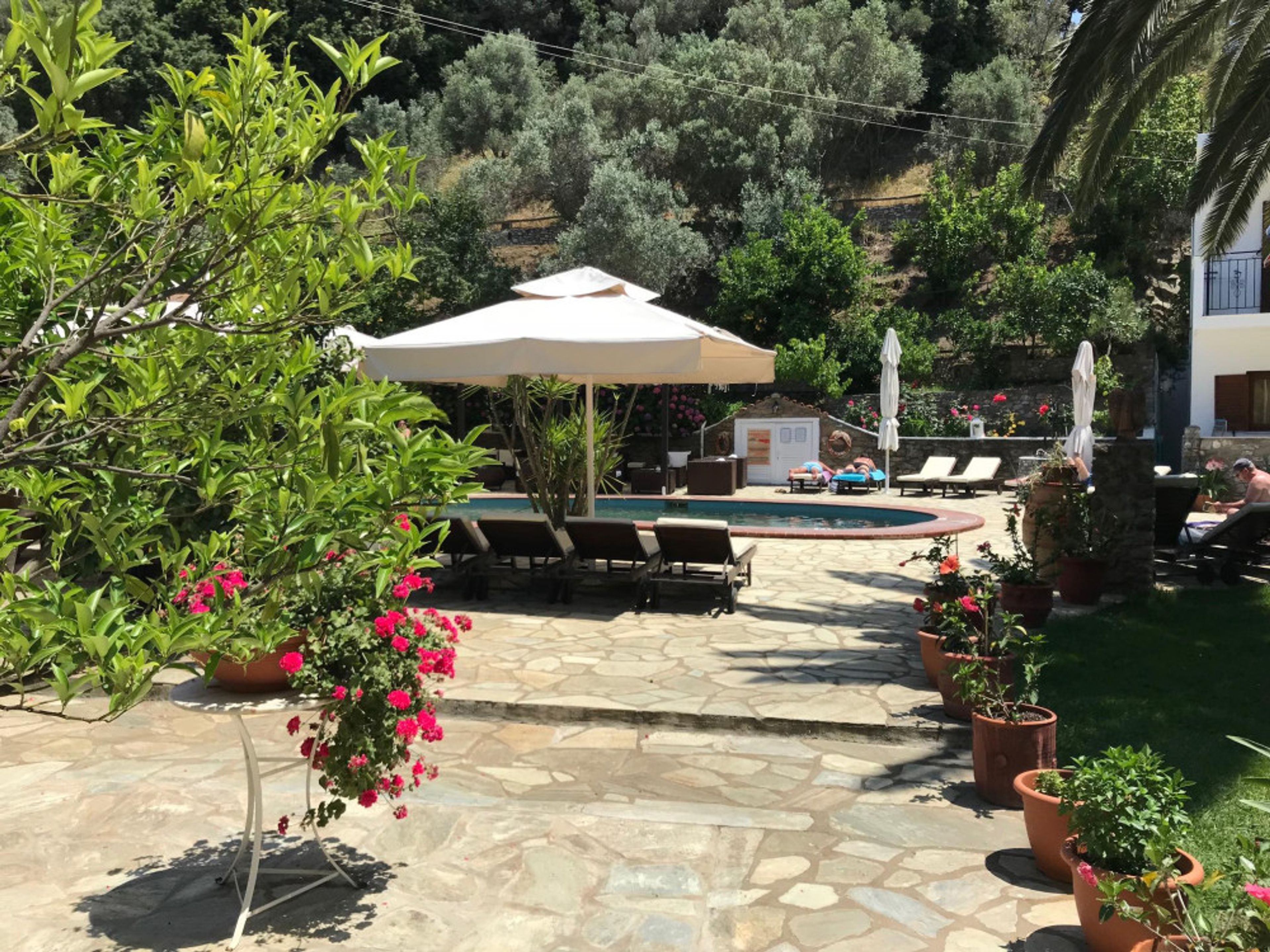 Appartementen Green Park foto 1