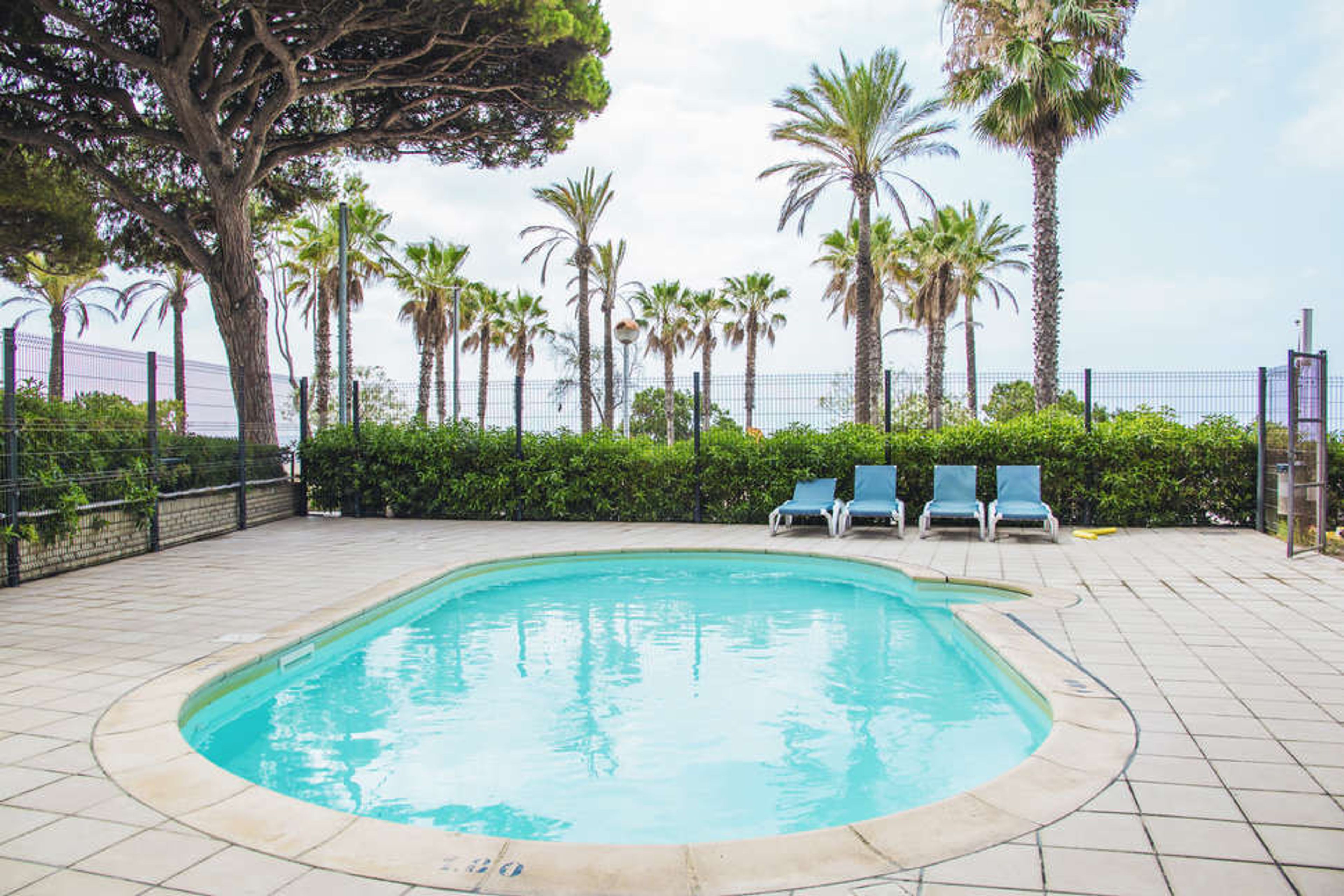 Appartementen Pins Platja foto 1