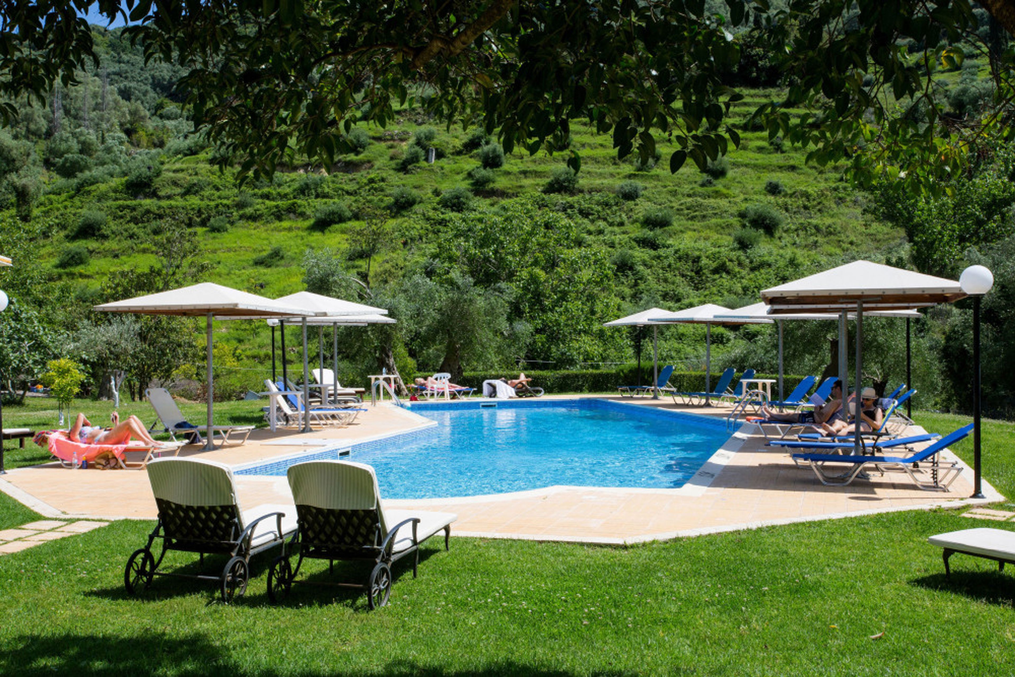 Aristidis Garden foto 4