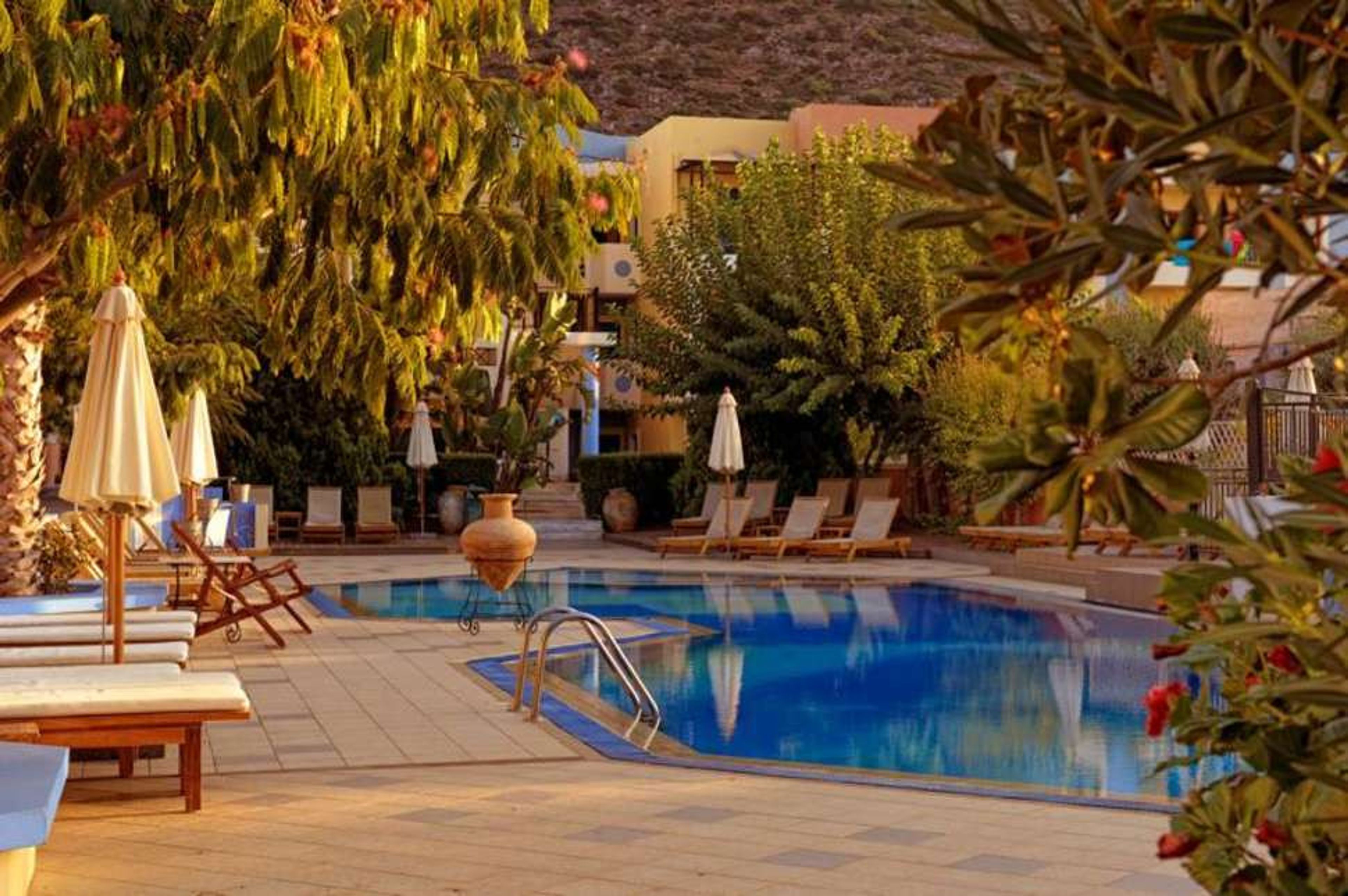 Arlekin Tango foto 2