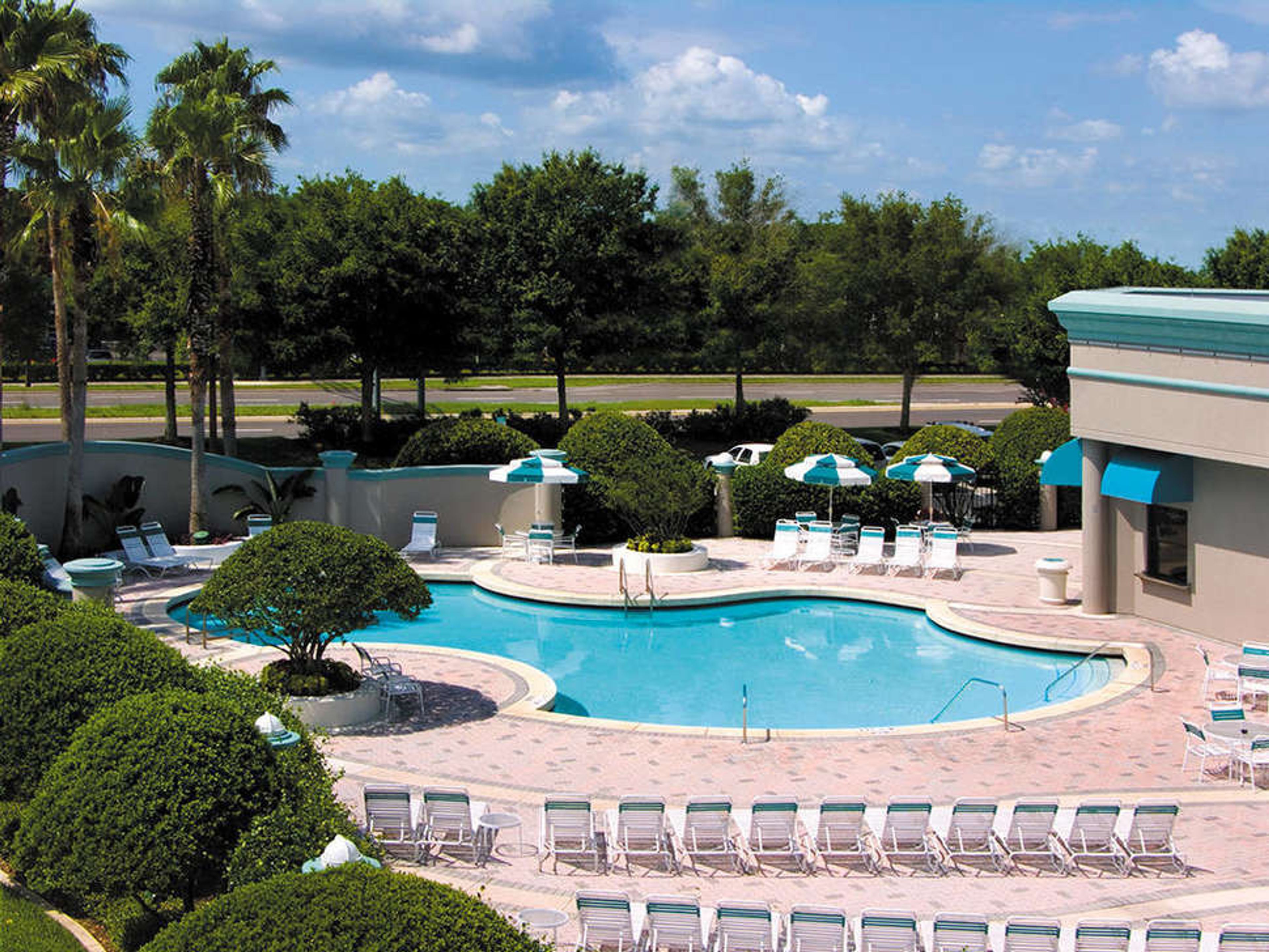 Buena Vista Suites foto 2