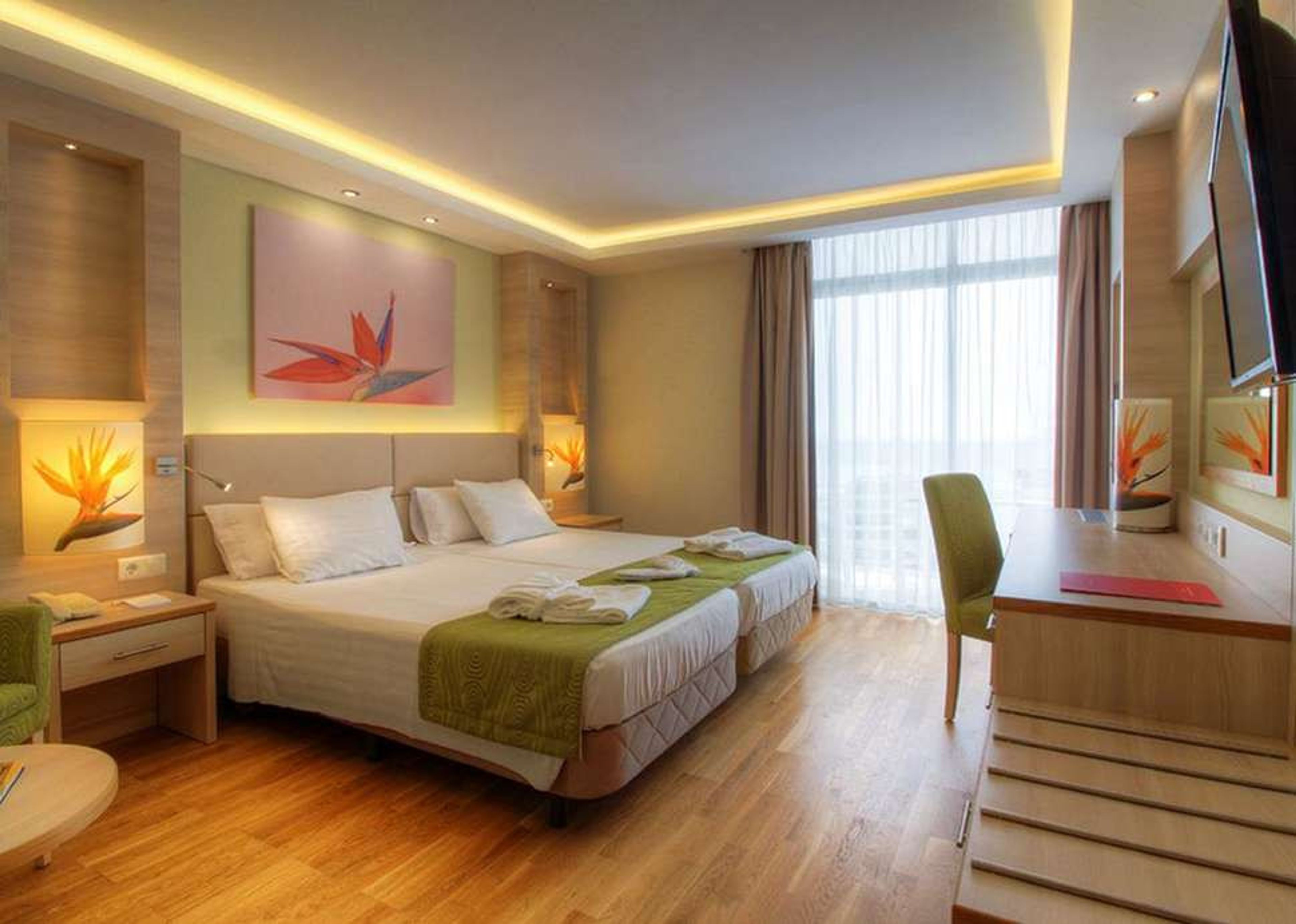 Bull Costa Canaria foto 2