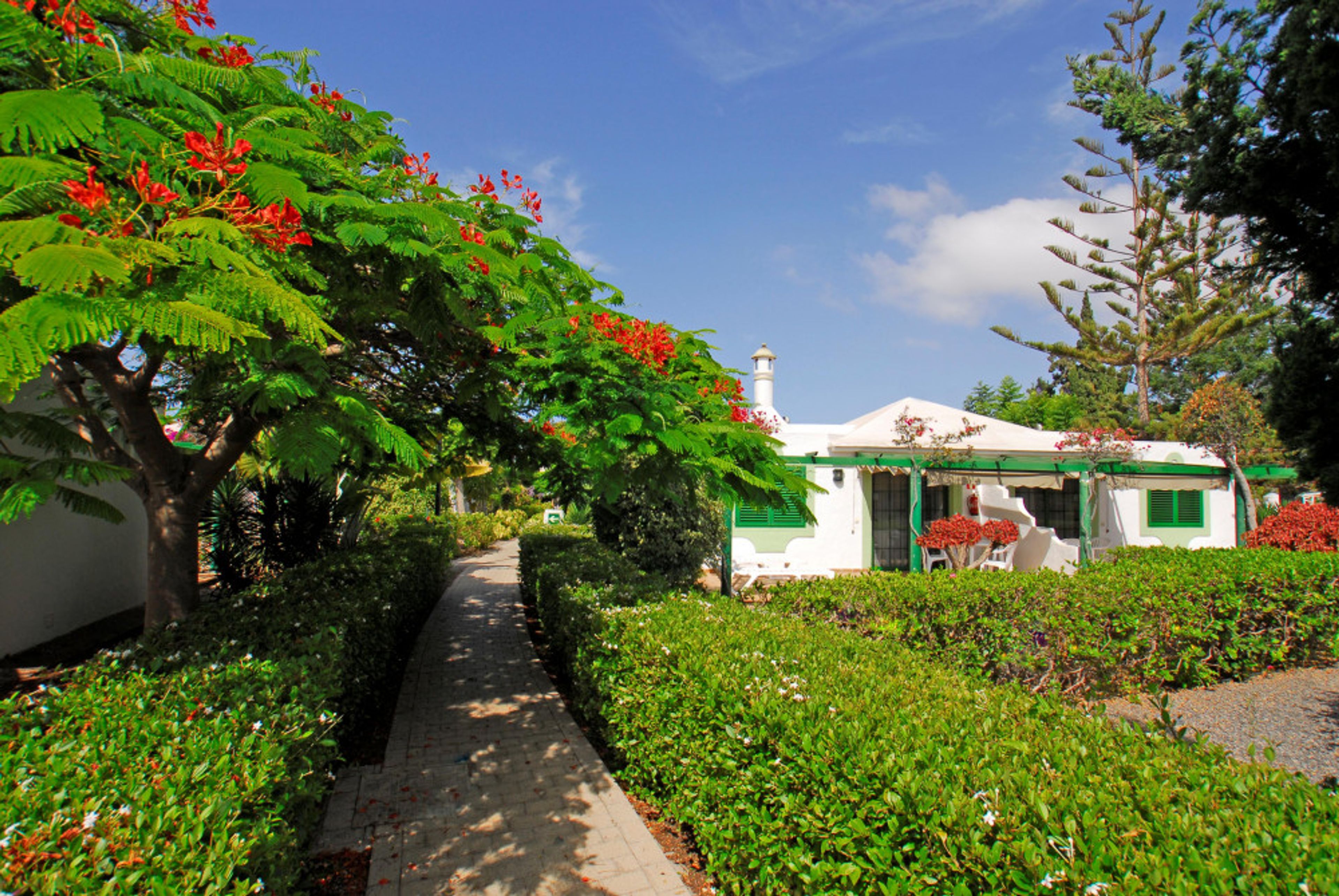 Bungalows Cordial Sandy Golf foto 2