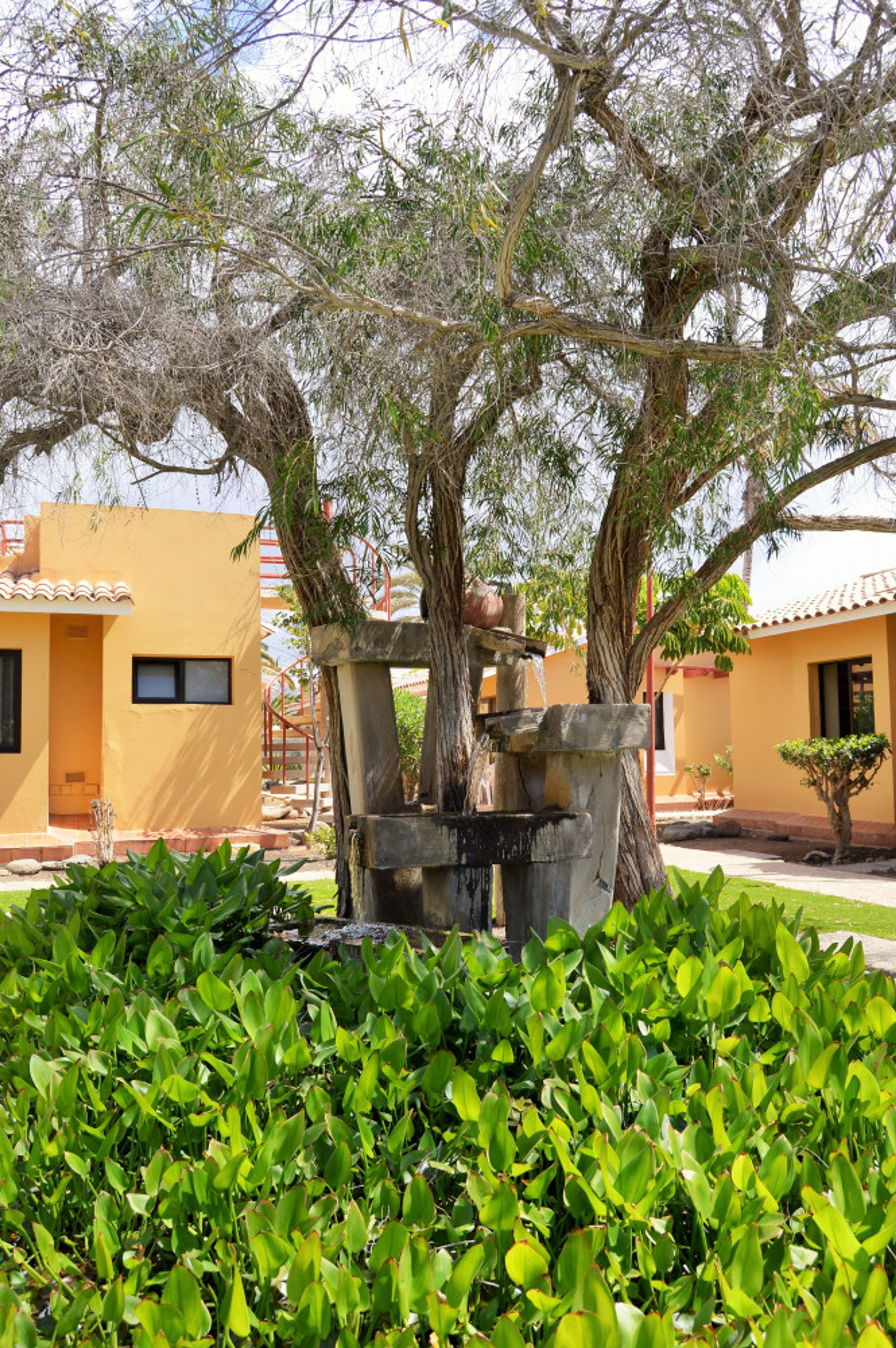 Bungalows Parque Bali foto 2