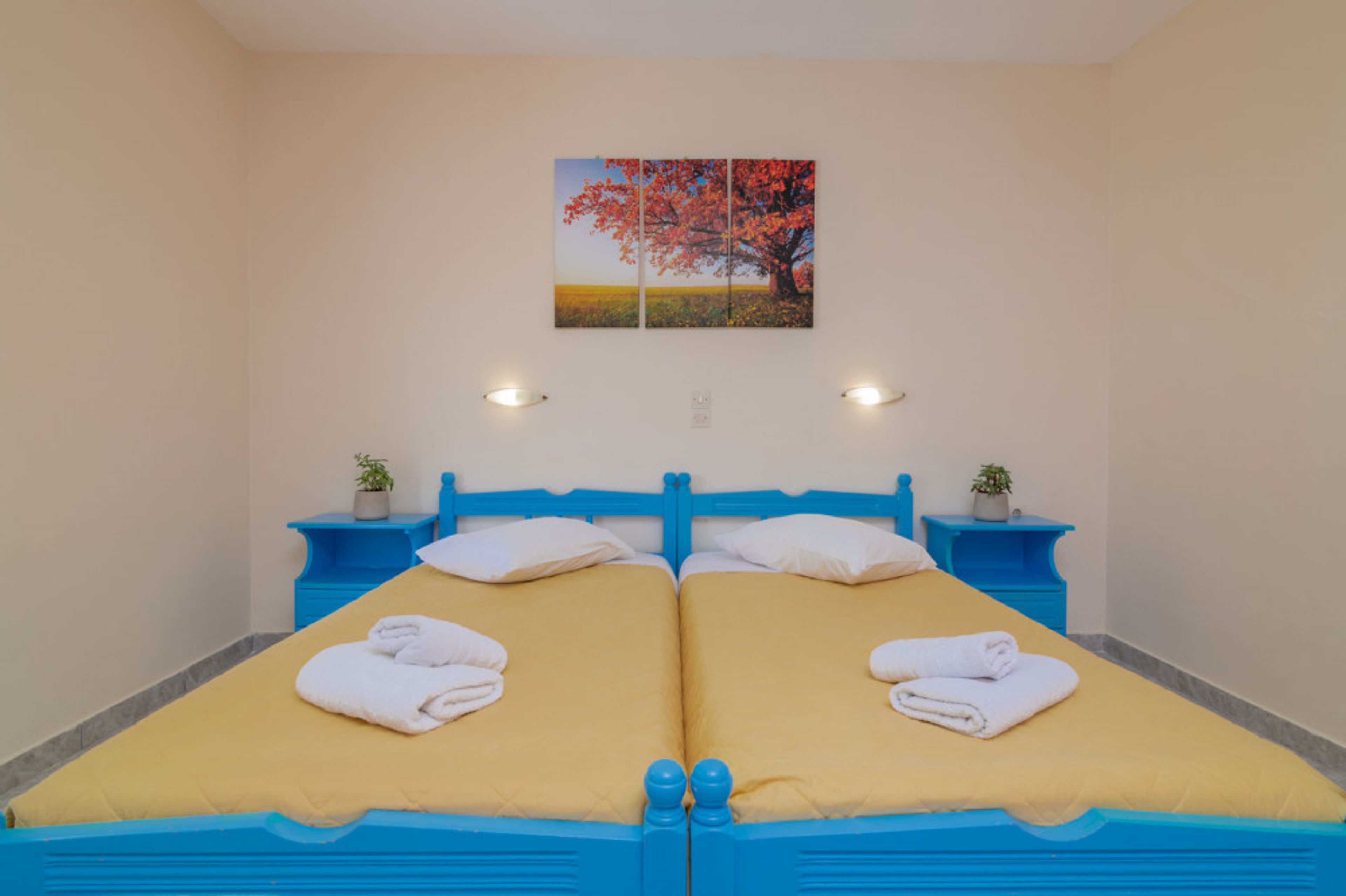 Bella Dimitra foto 3