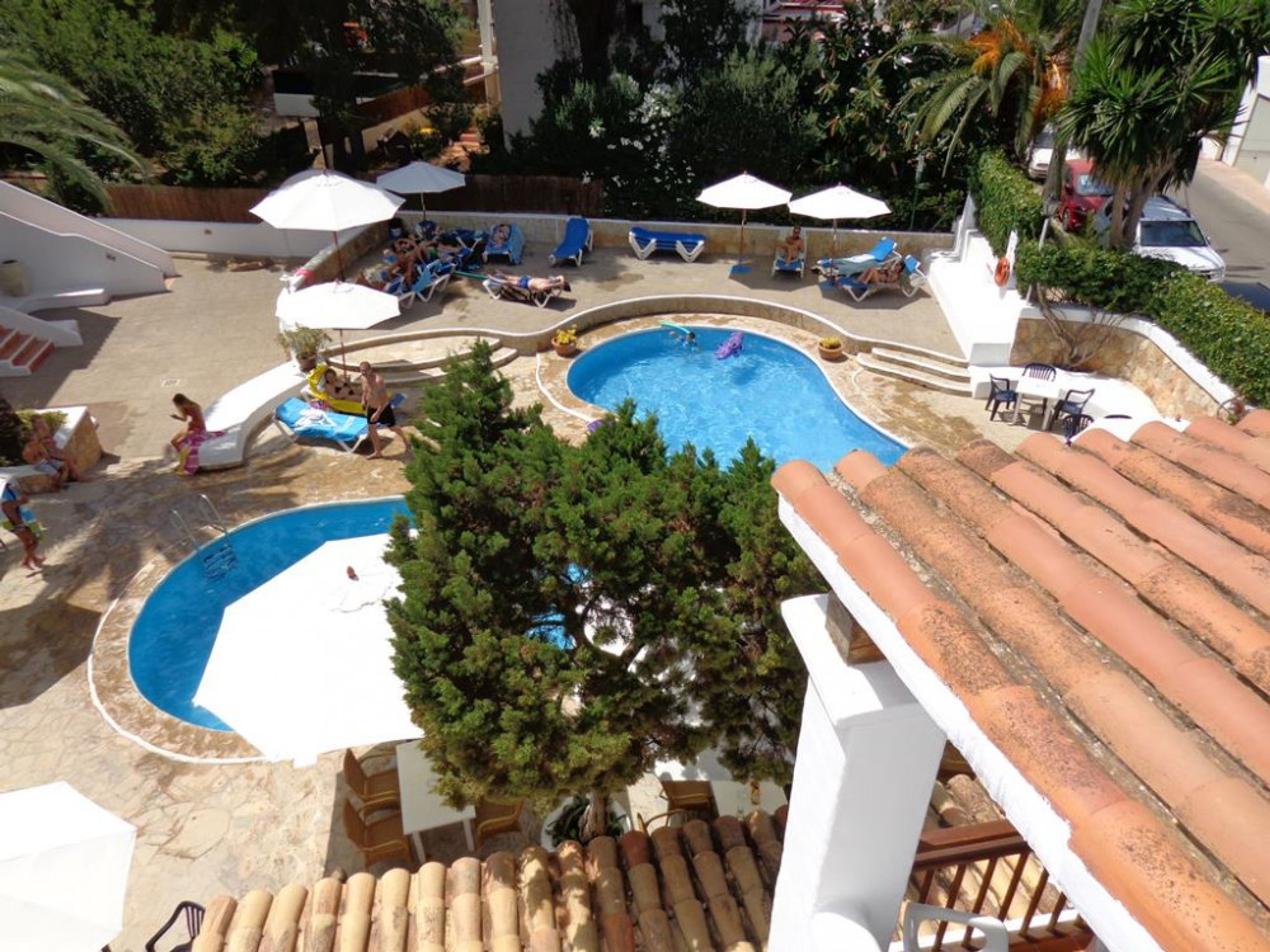 Benet Los Pinares foto 1