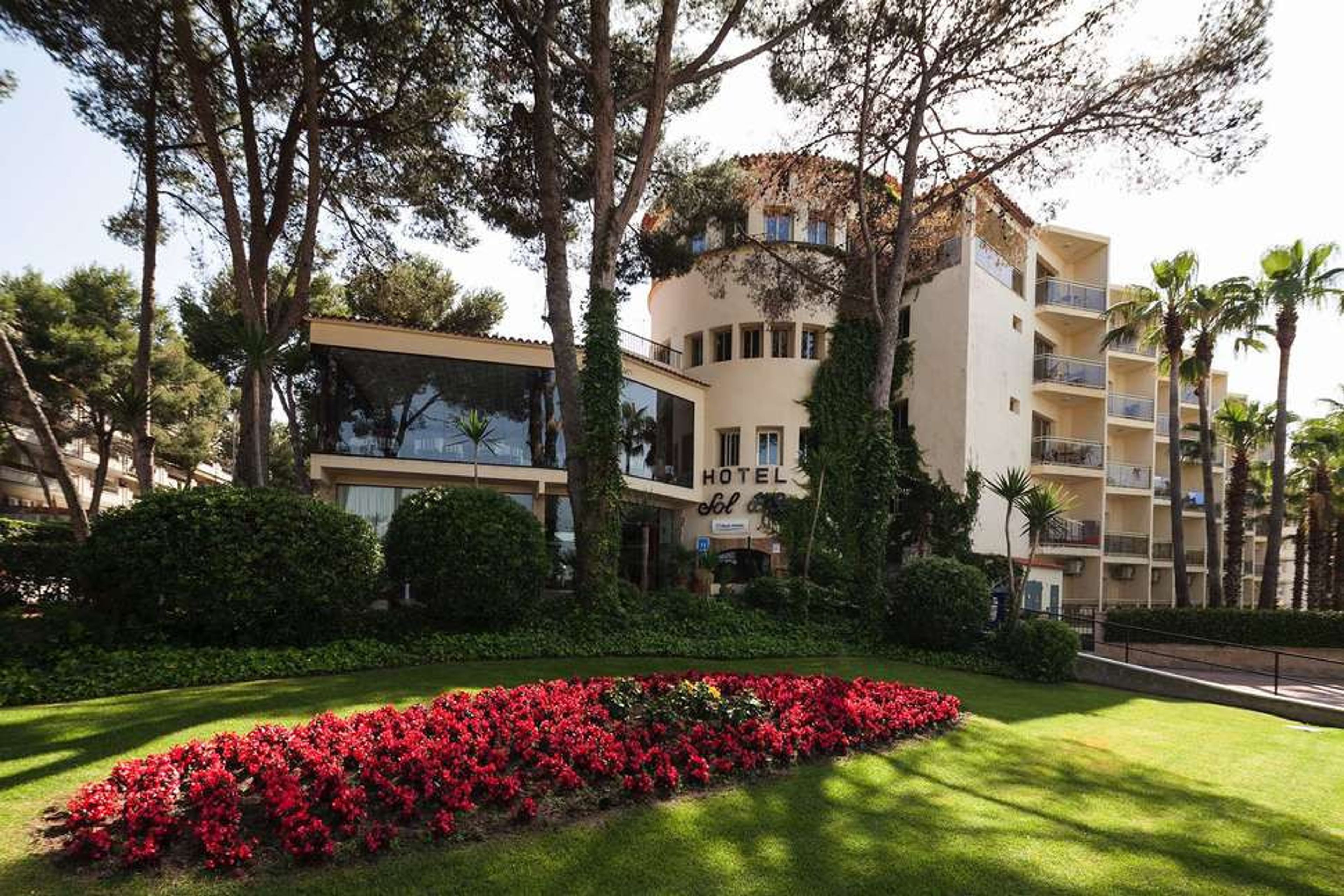 Best Sol d'Or foto 1