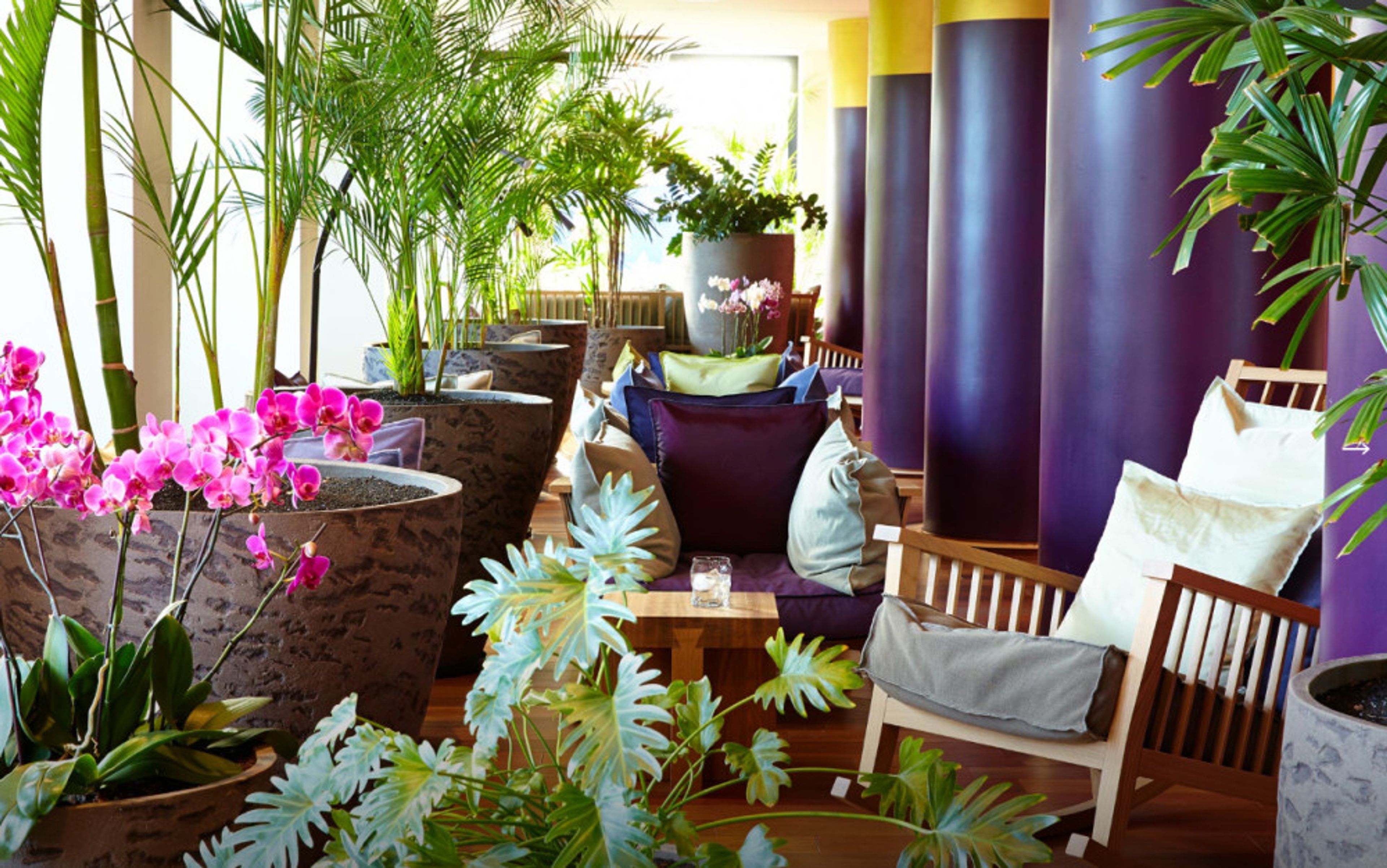 Bohemia Suites & Spa foto 4