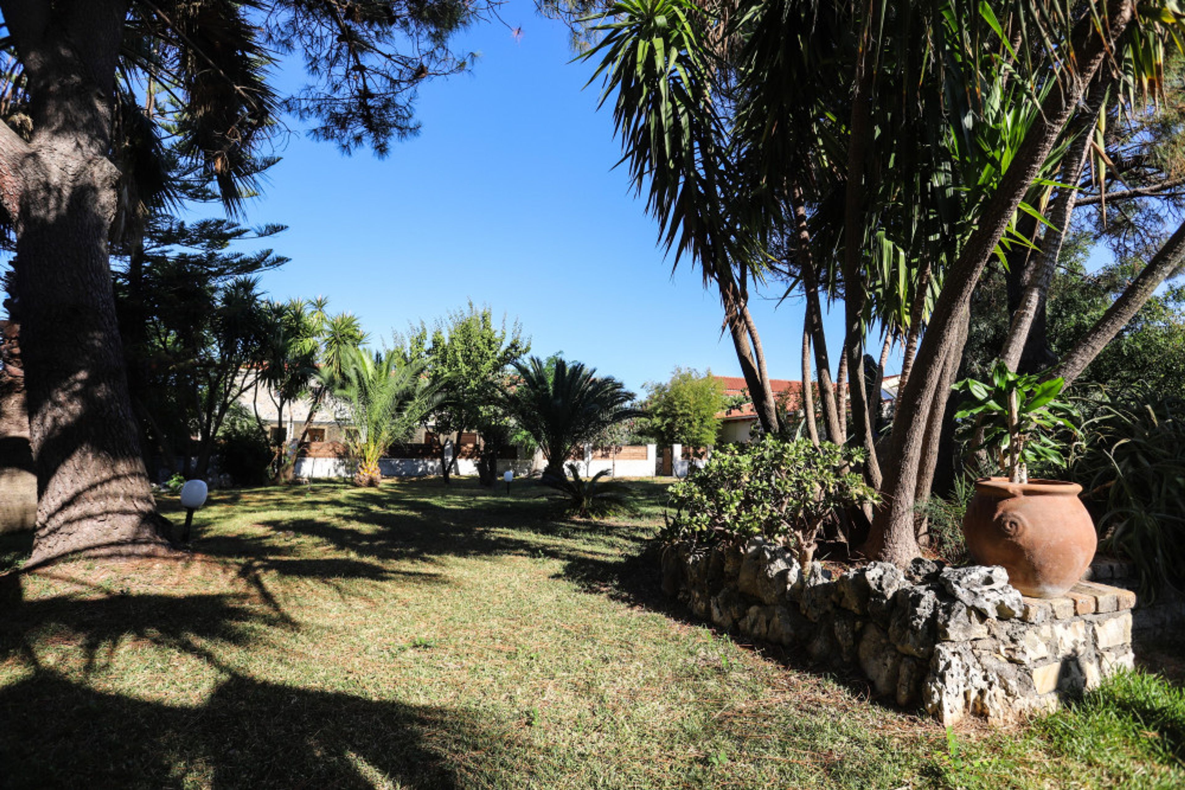 Bostonia Village foto 2