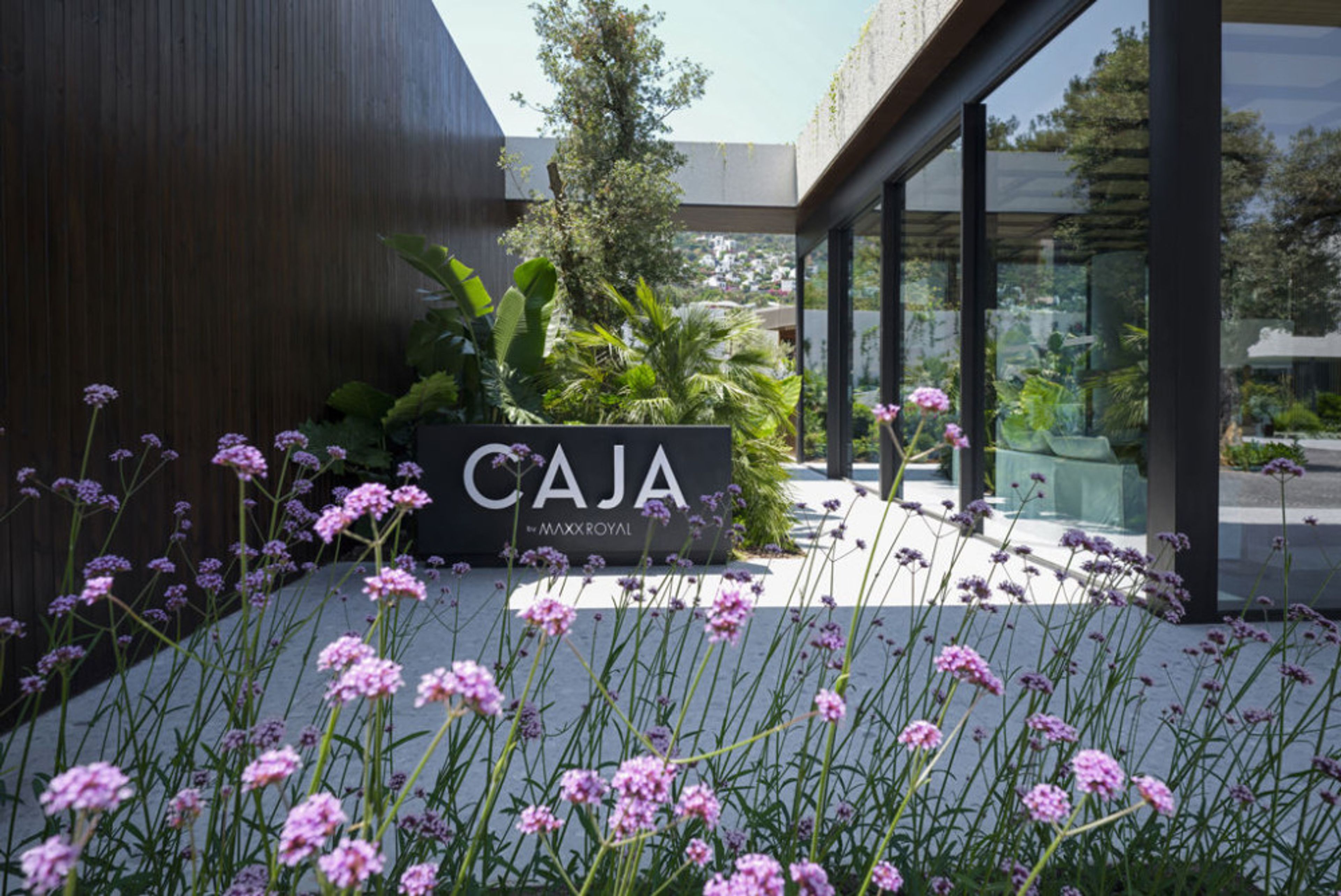 Caja by Maxx Royal foto 4