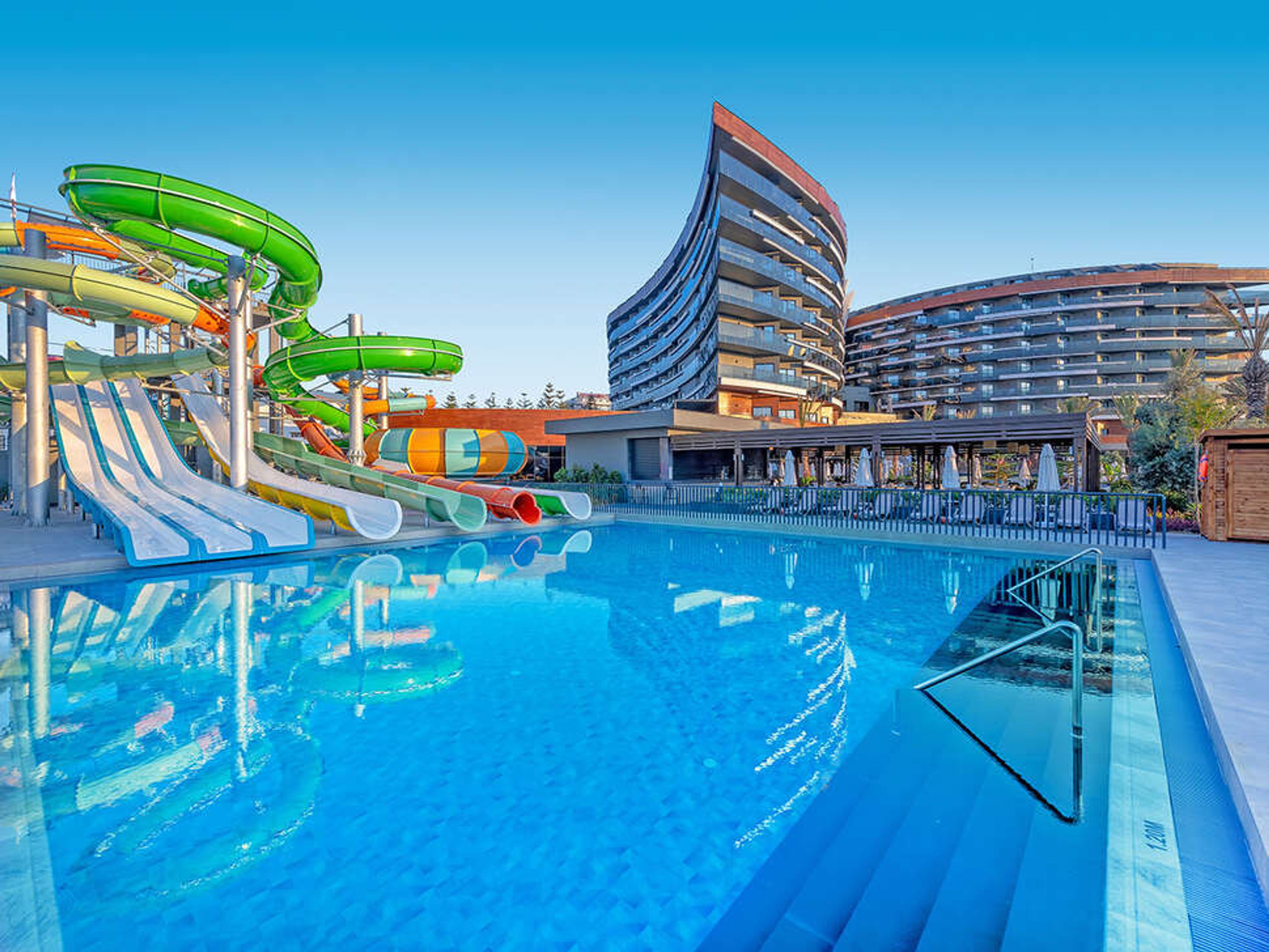 Calyptus Kirman Premium