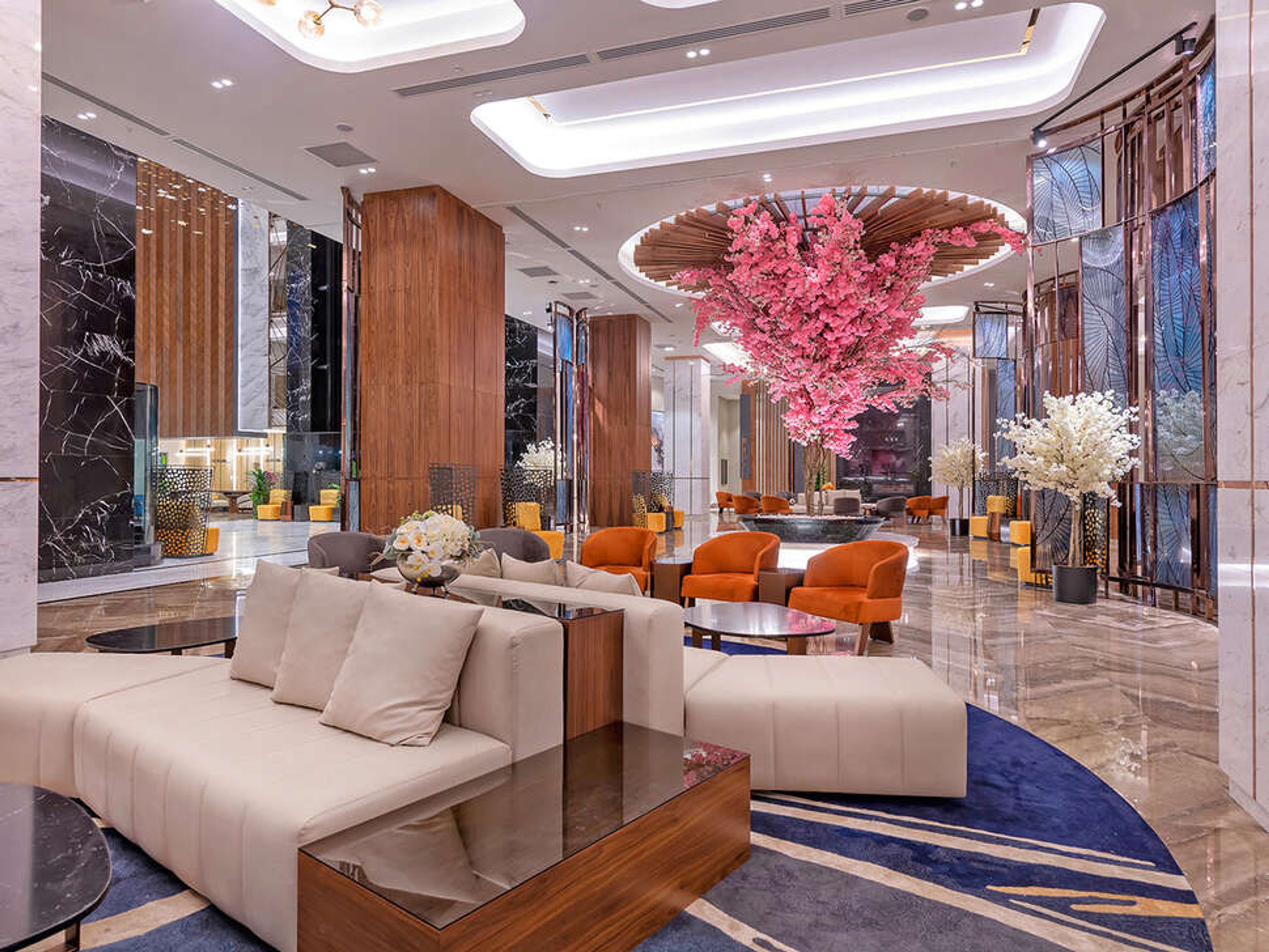 Calyptus Kirman Premium foto 2