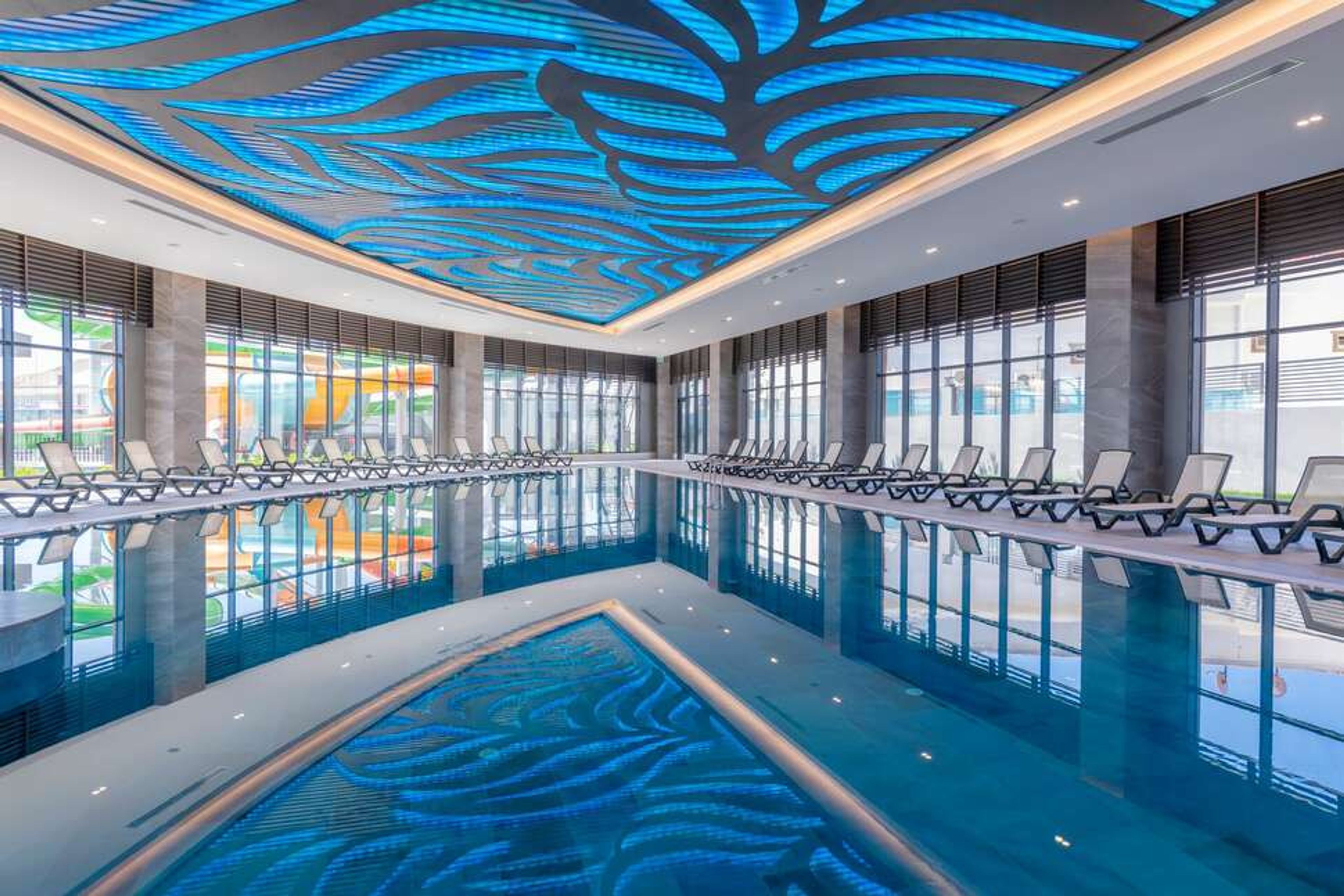 Calyptus Kirman Premium foto 3