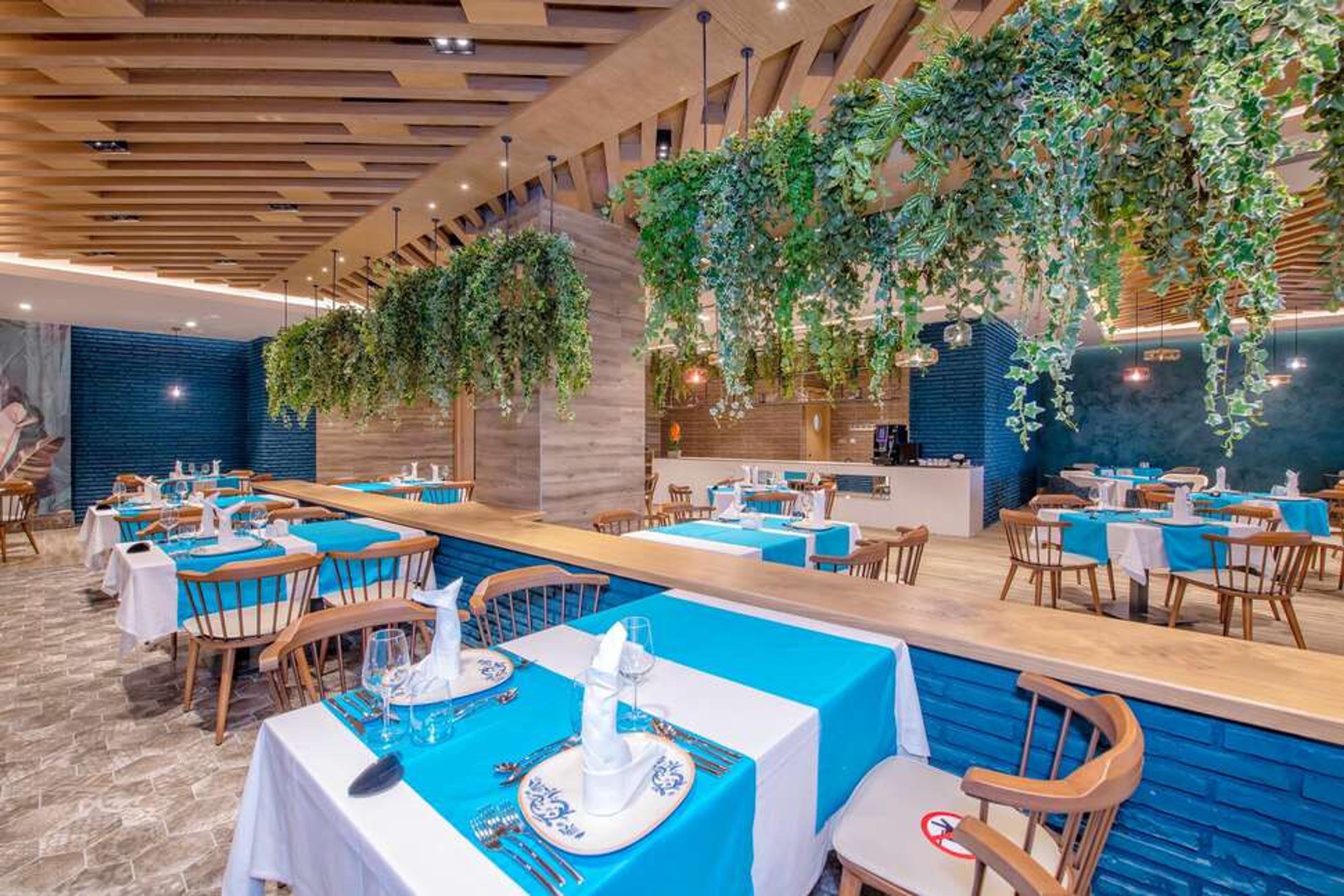 Calyptus Kirman Premium foto 4