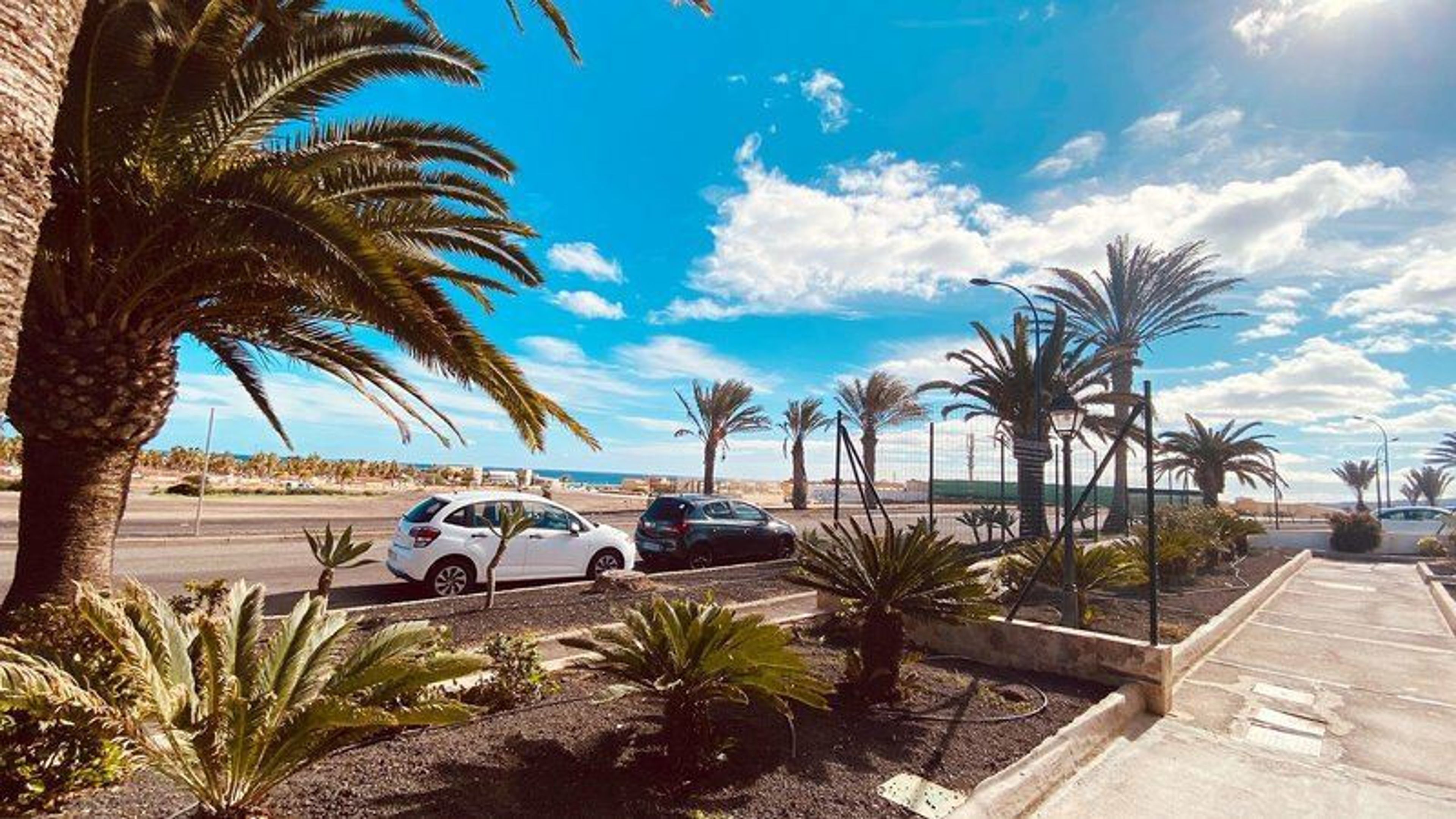 Casthotels Fuertesol foto 4