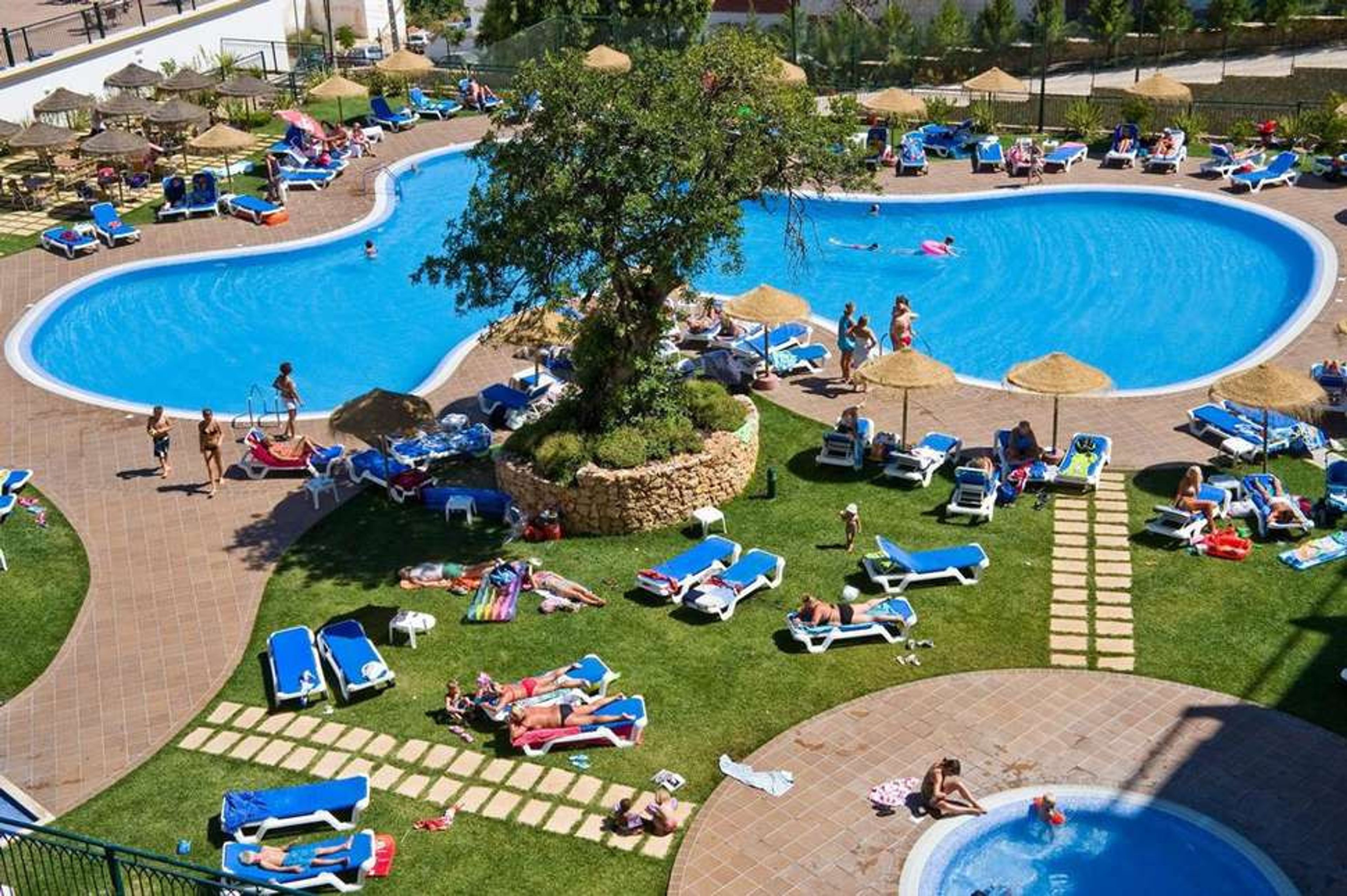 Cerro Mar Garden foto 2