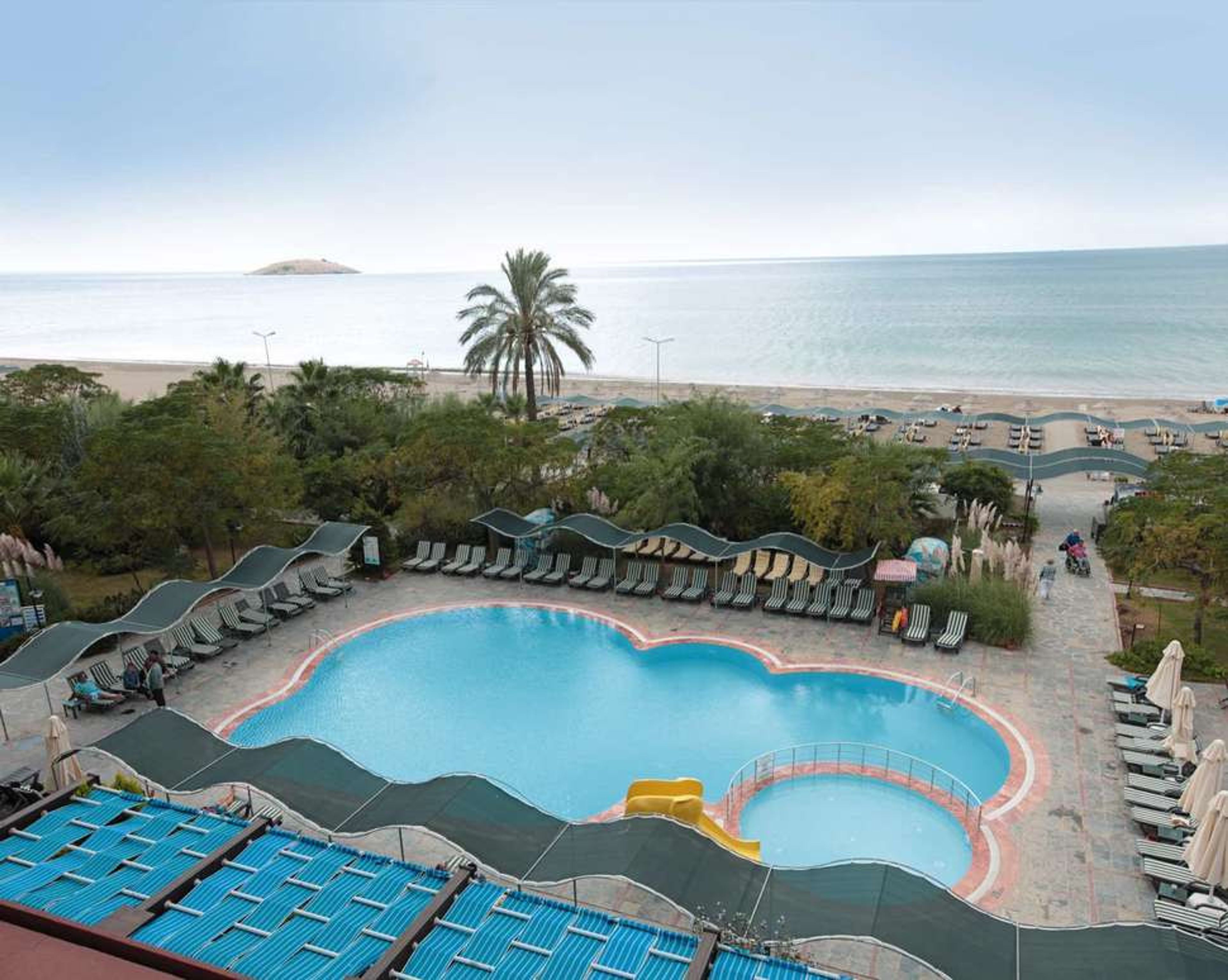 Club Cactus Paradise foto 1