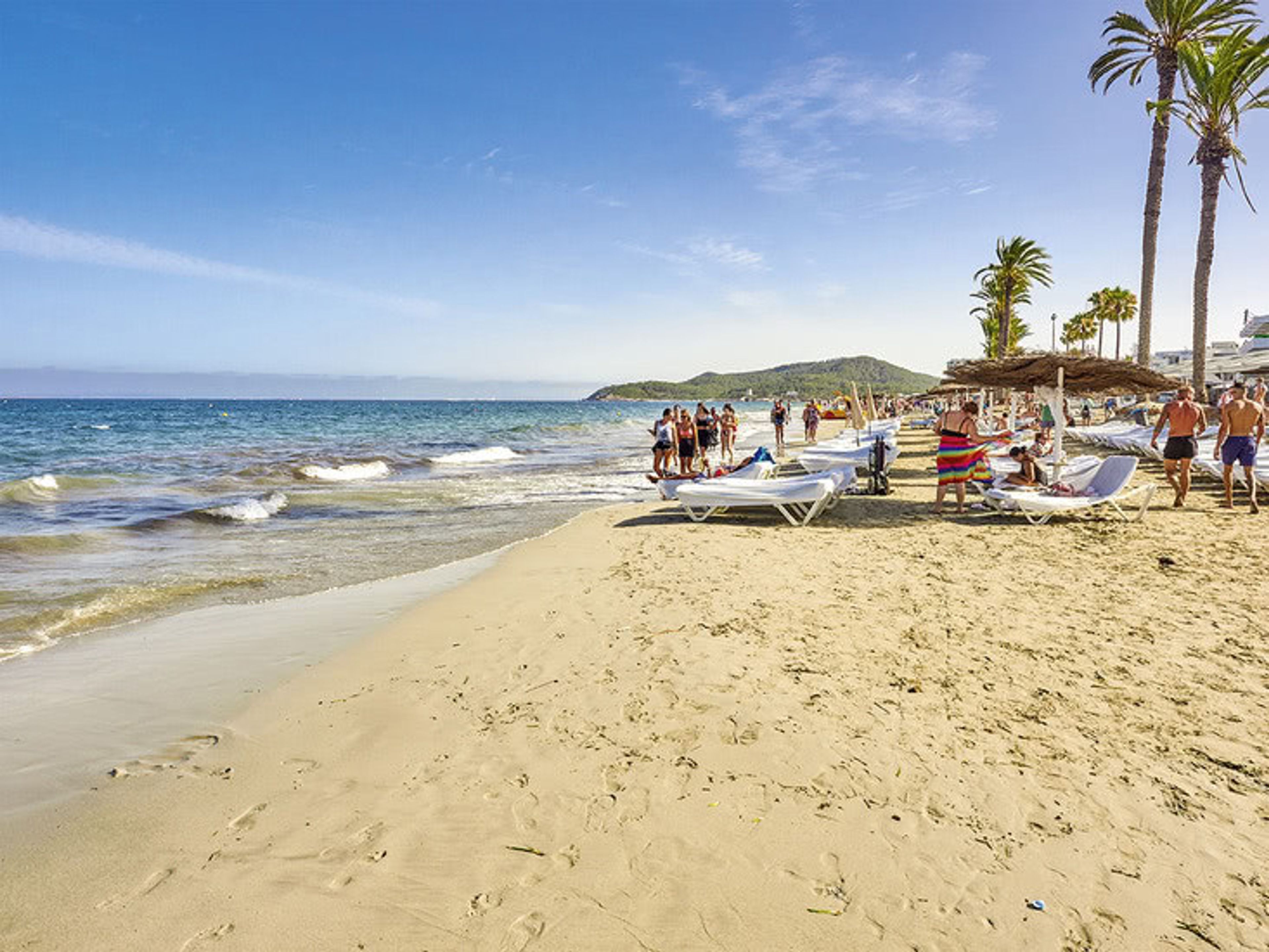 Club Can Bossa foto 3