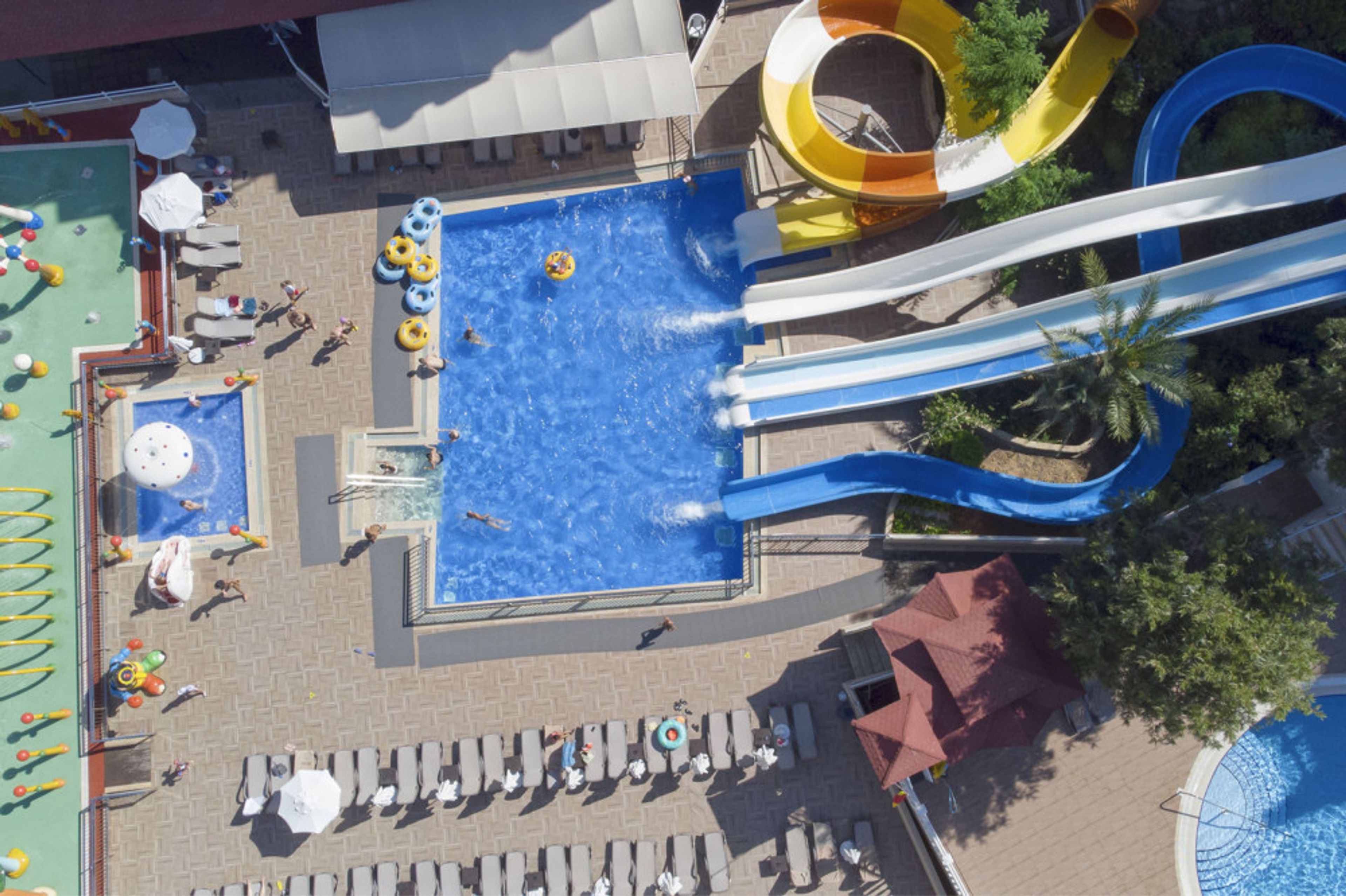 Club Paradiso foto 4