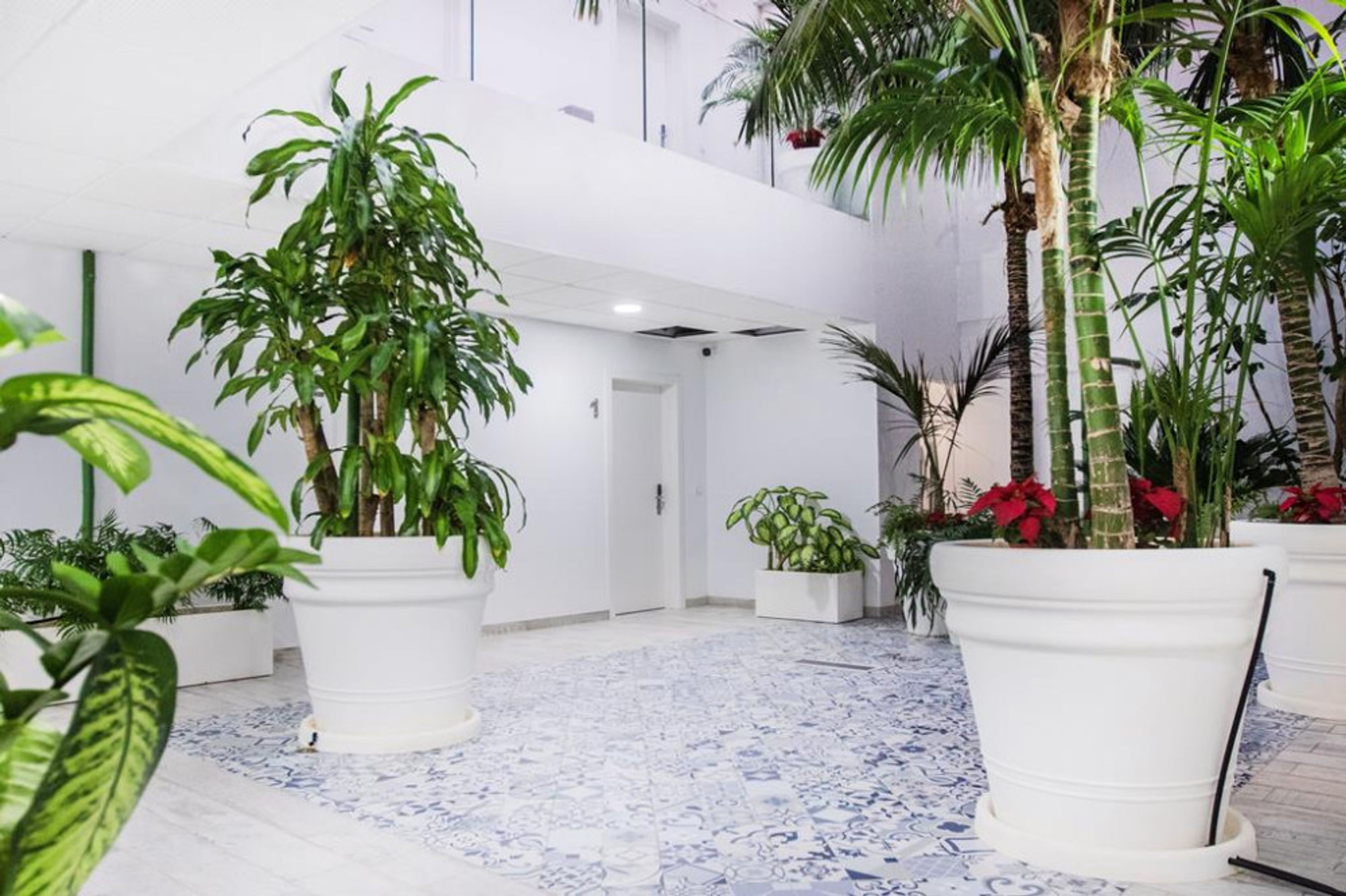 Coccoloba Suites Corralejo foto 4