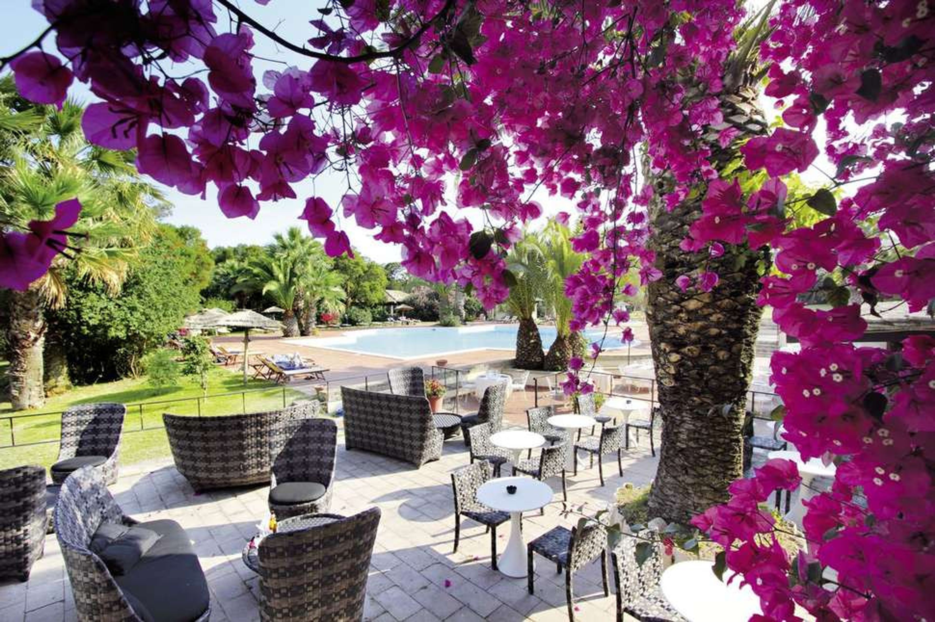 Costa dei Fiori foto 3