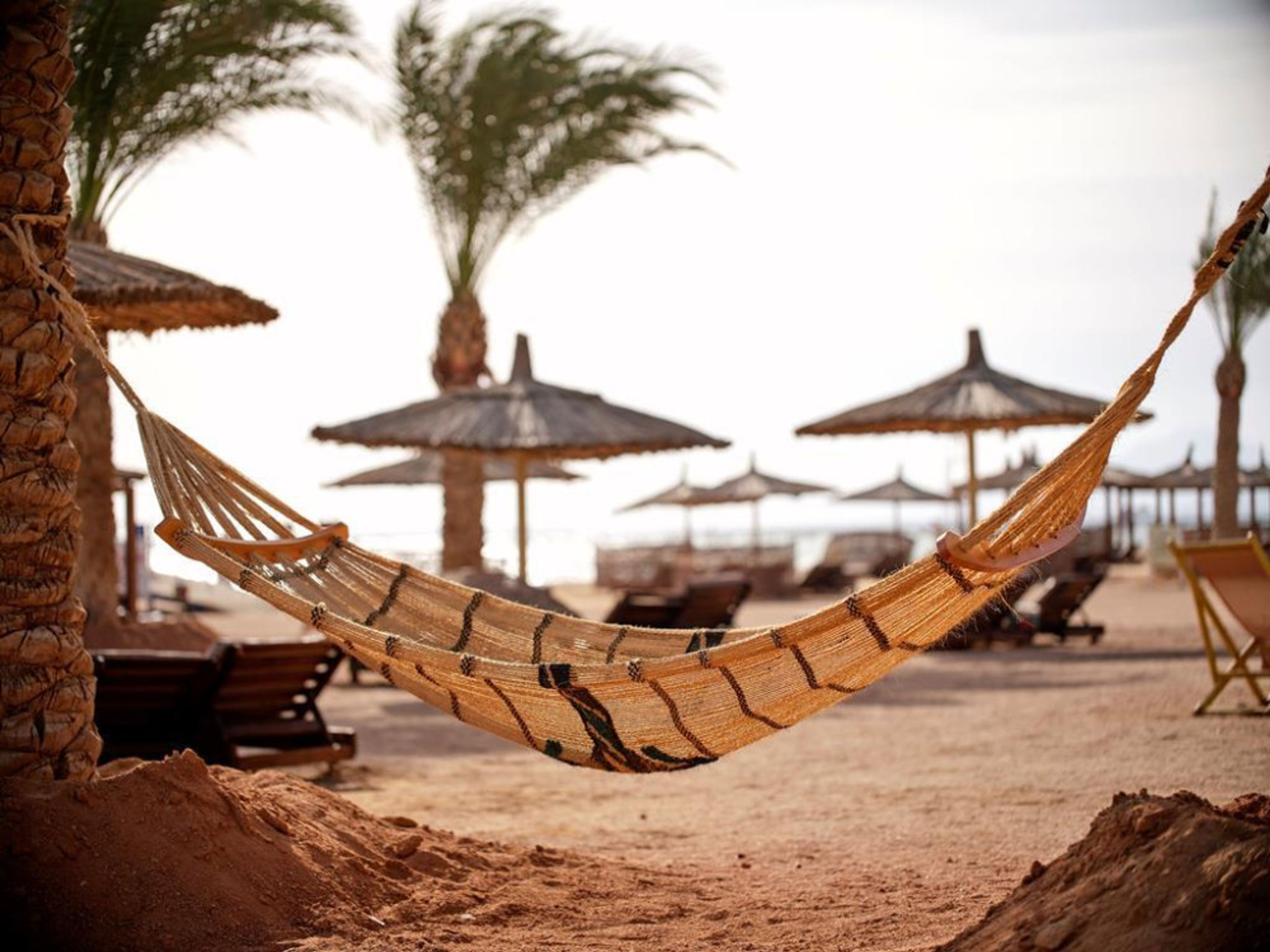 Coral Sea Holiday Resort & Aqua Park foto 3