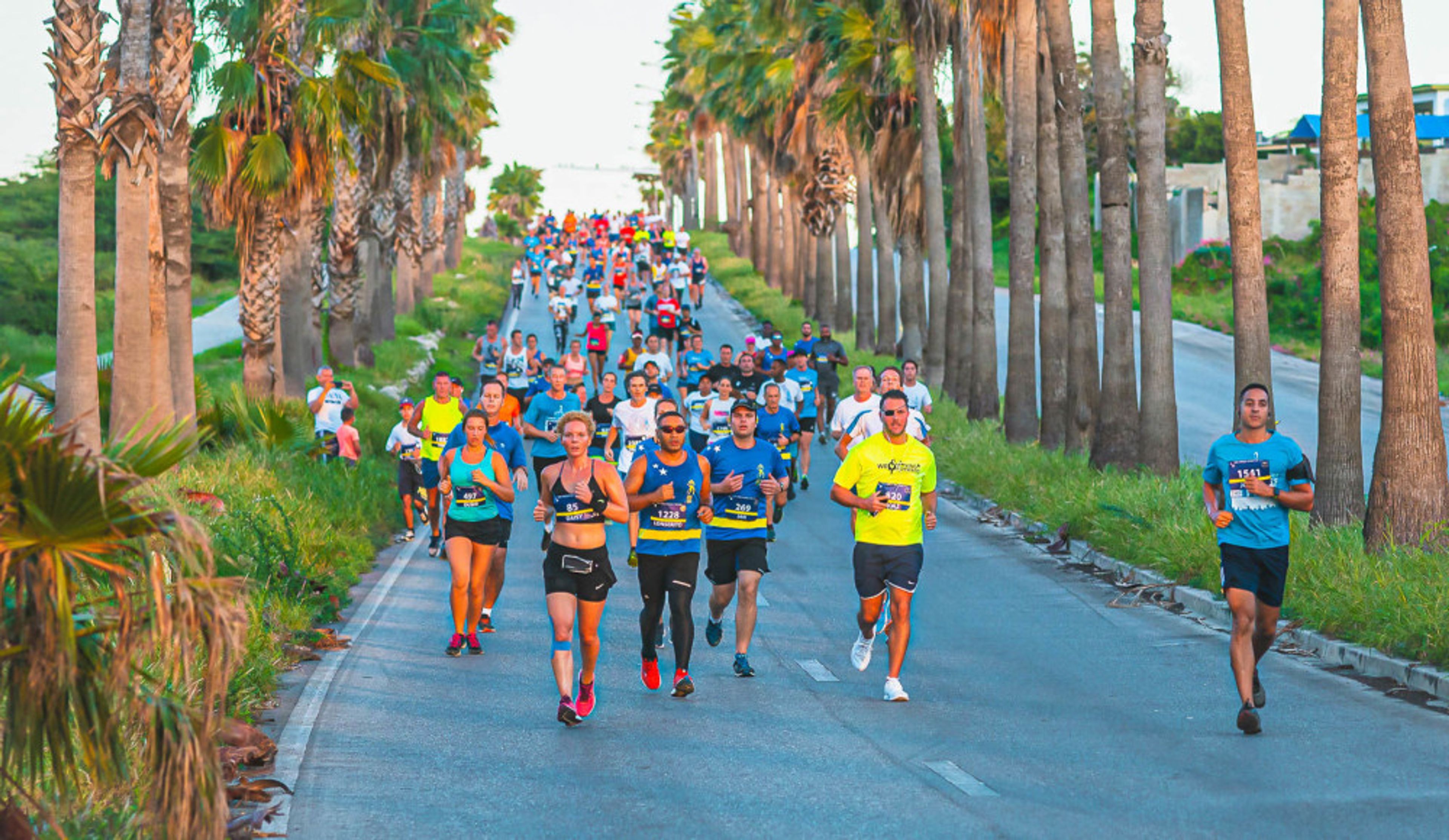 Corendon Mangrove Beach Resort KLM Curaçao Marathon arrangement