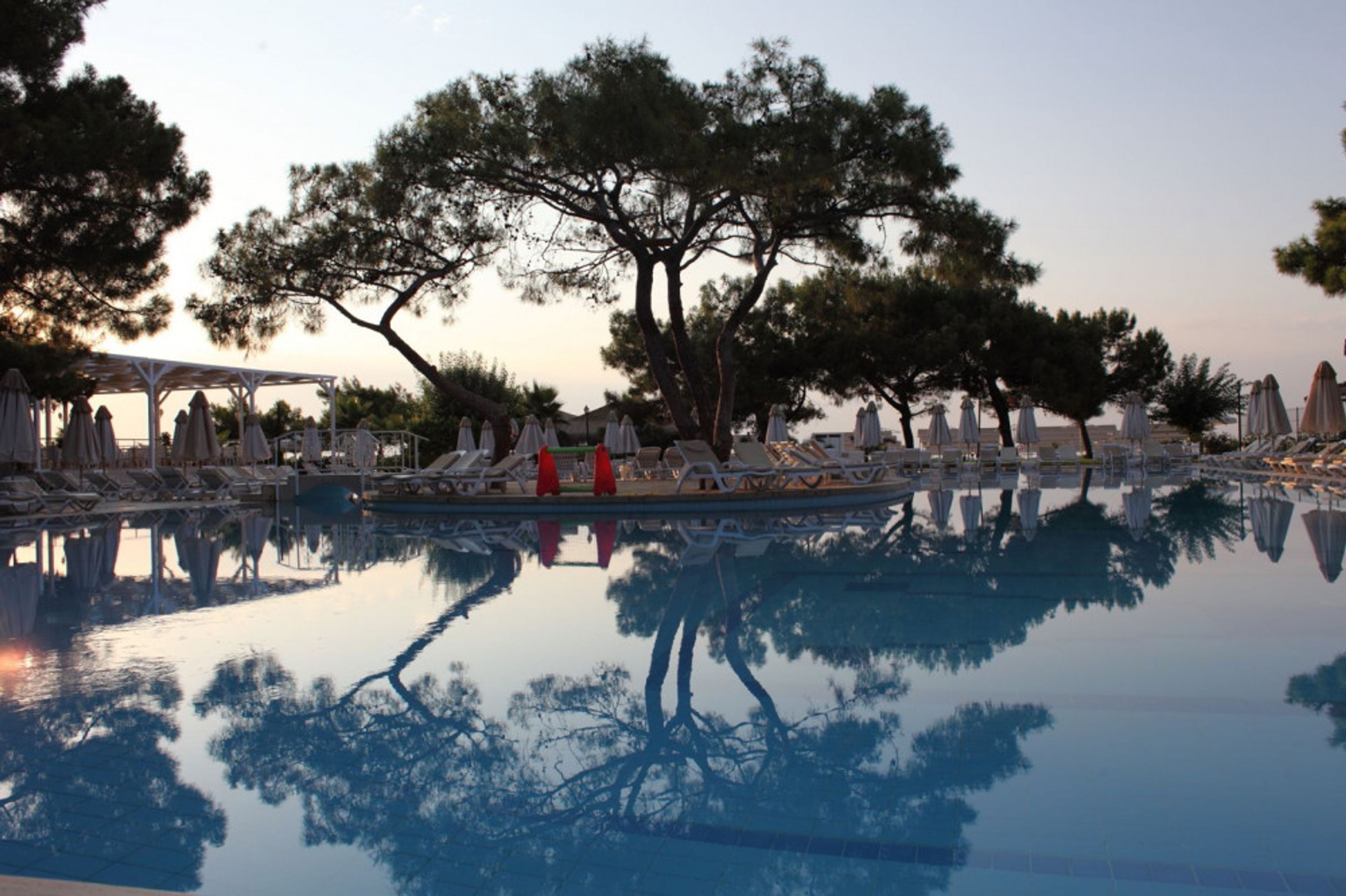 Crystal Prestige Elite foto 1