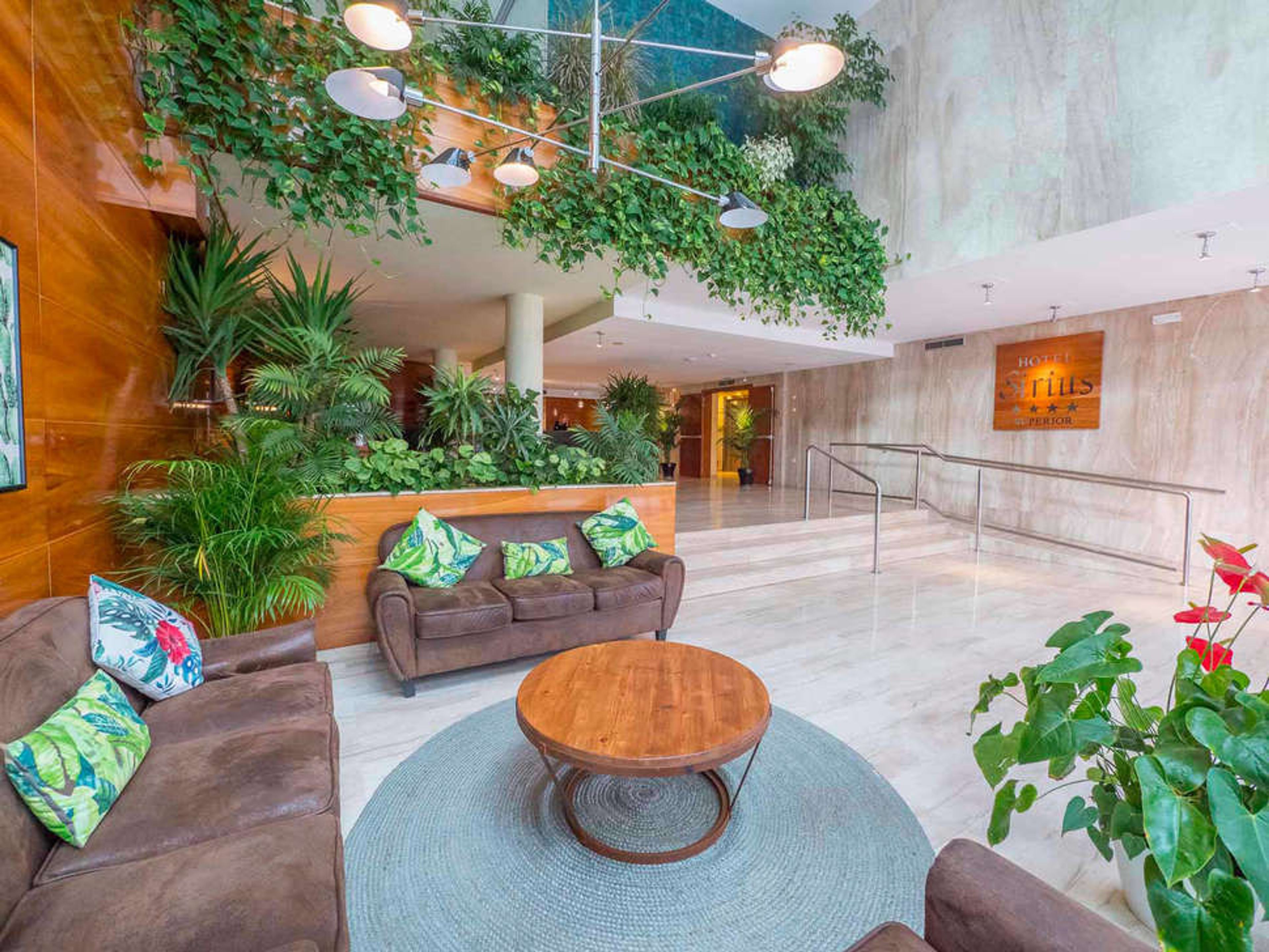 Dwo Sirius by Checkin foto 1