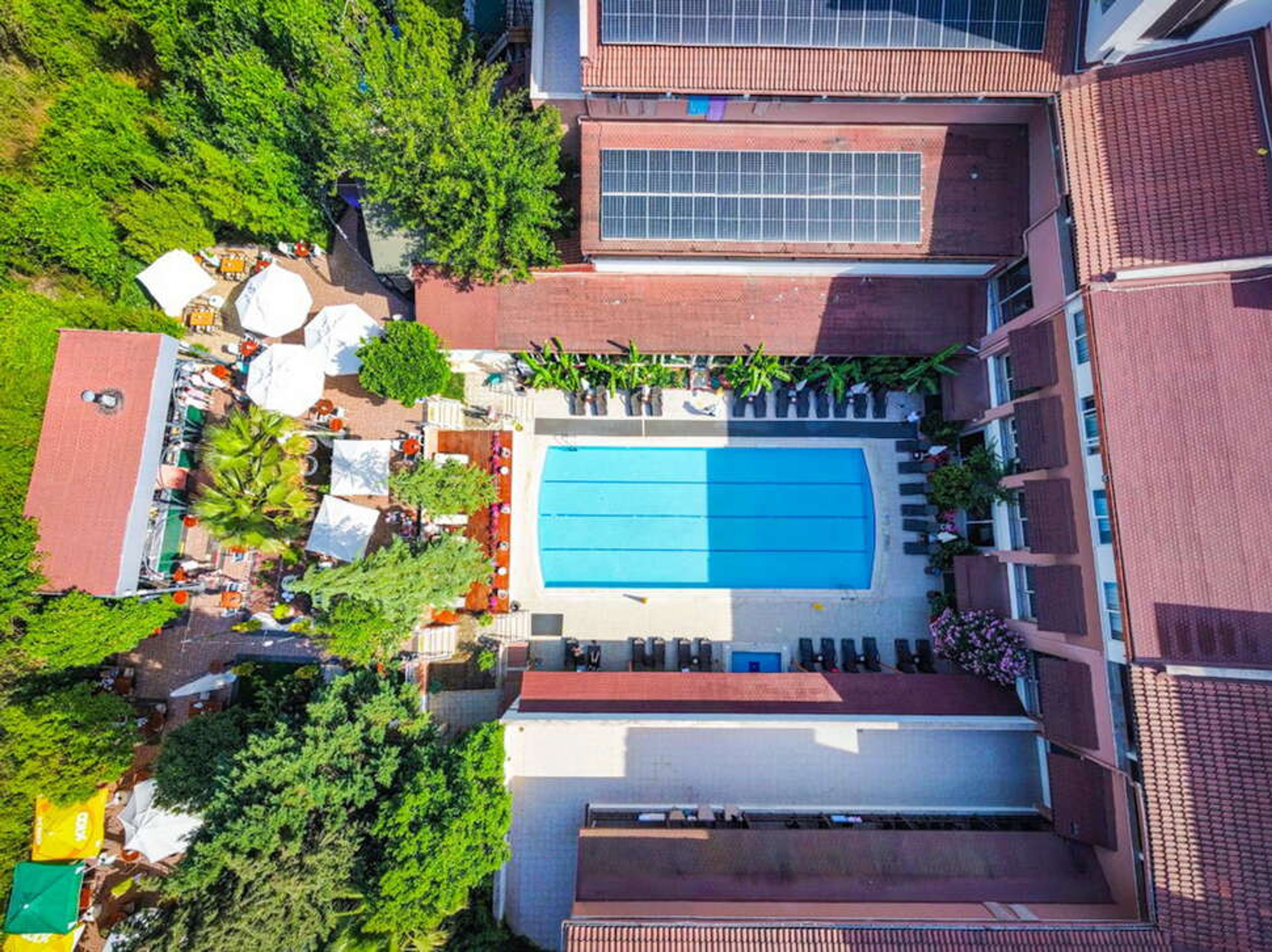 Dg Hotels Rose Resort foto 1