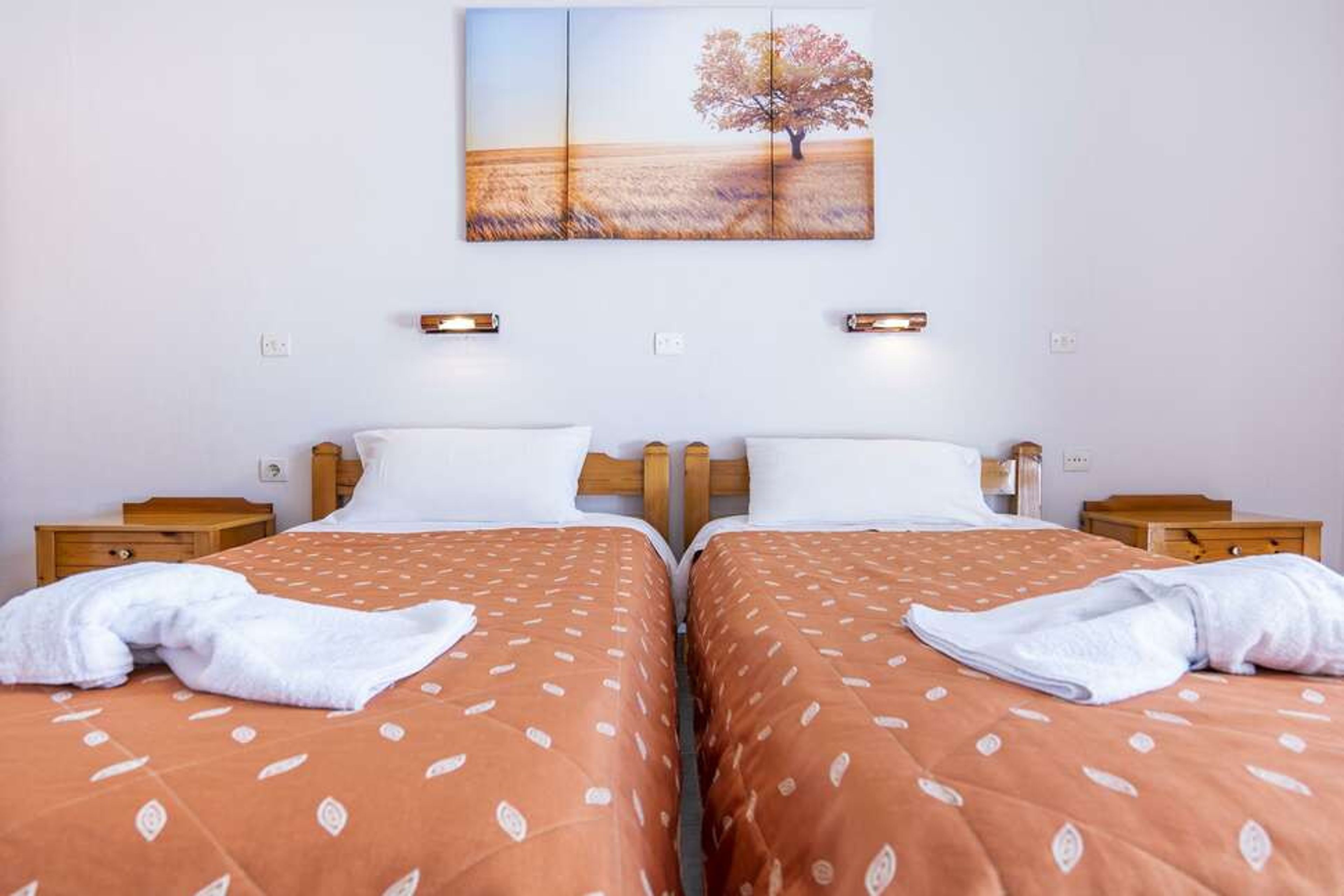 Dionisos Apartments foto 3