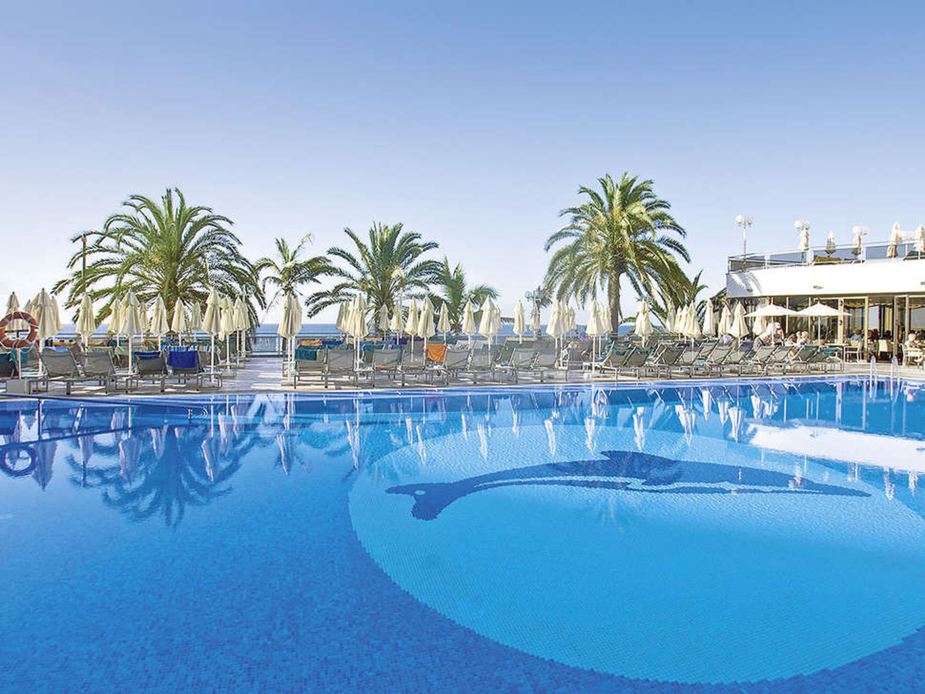 Don Gregory by Dunas