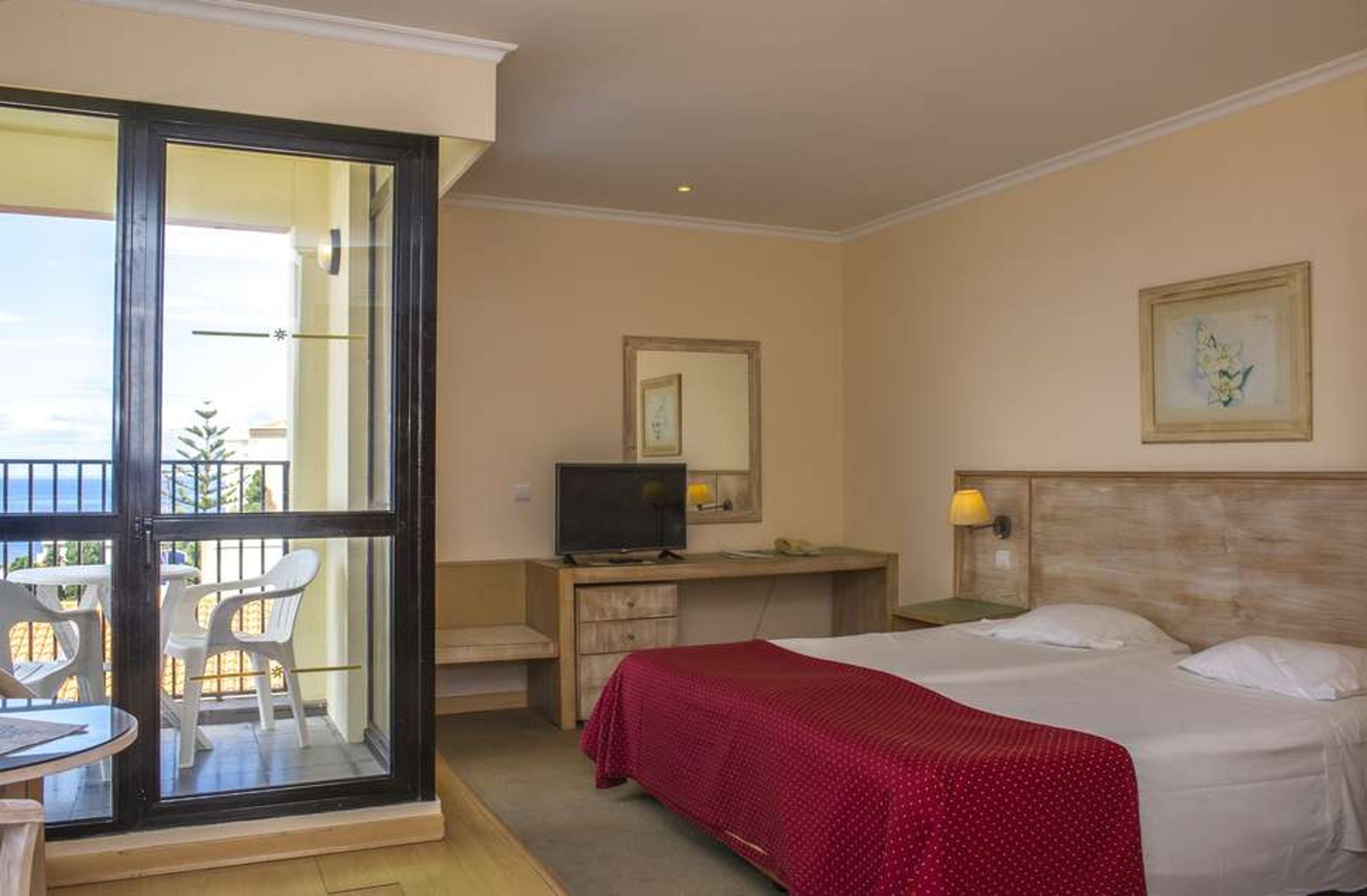 Dorisol Buganvilia foto 3