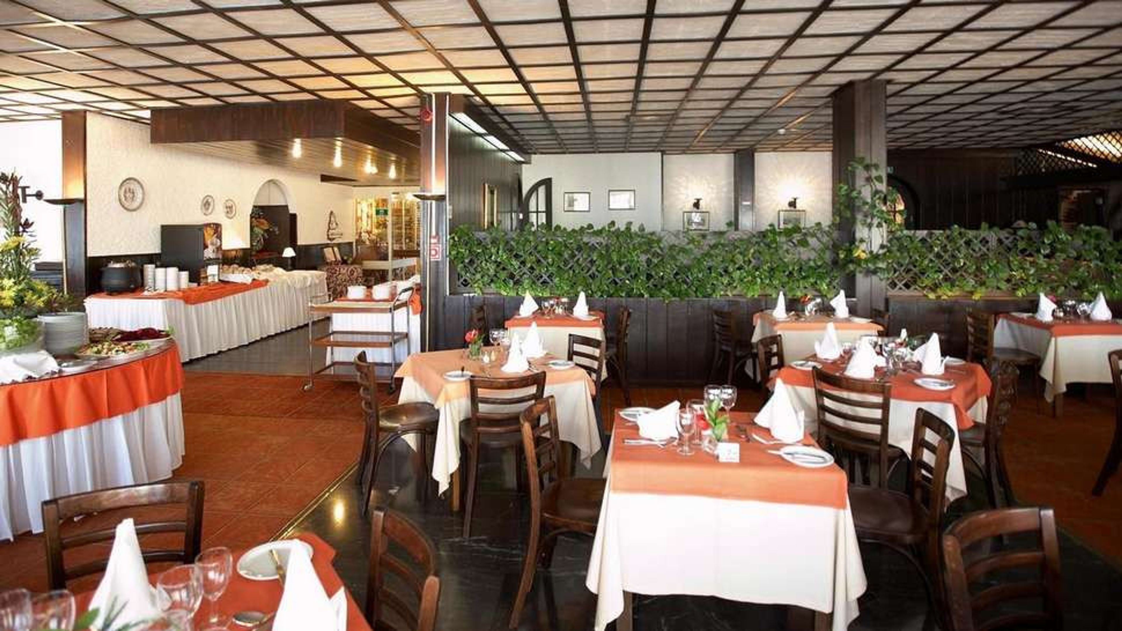 Dorisol Buganvilia foto 4