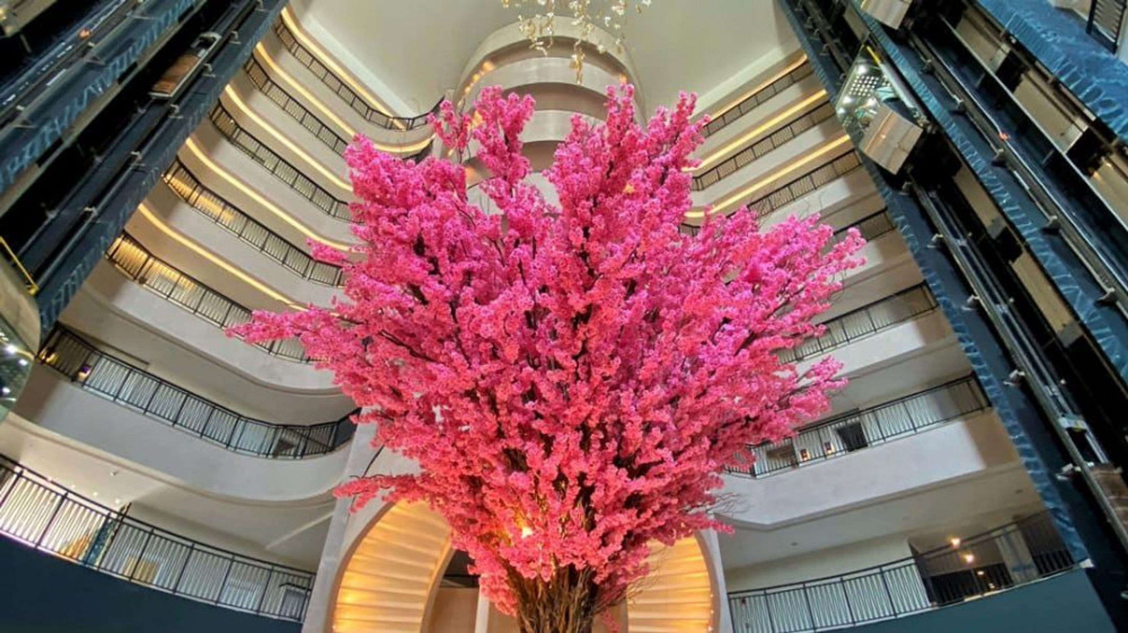 Dream Water World foto 2